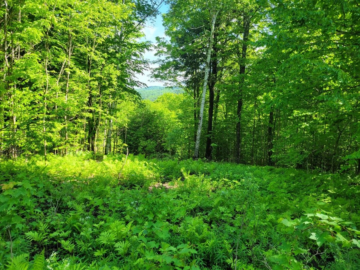 Homes for sale in Barnard, VT | 000 West Rd, Barnard, VT 05031 | MLS# 4985014