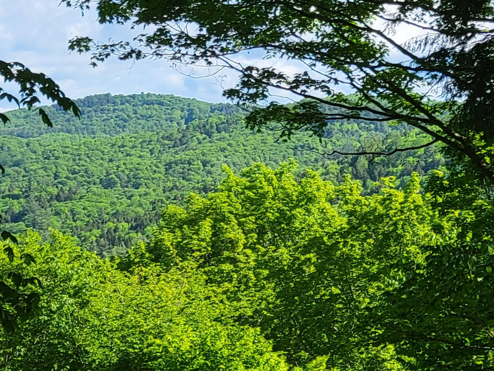 Homes for sale in Barnard, VT | 000 West Rd, Barnard, VT 05031 | MLS# 4985014