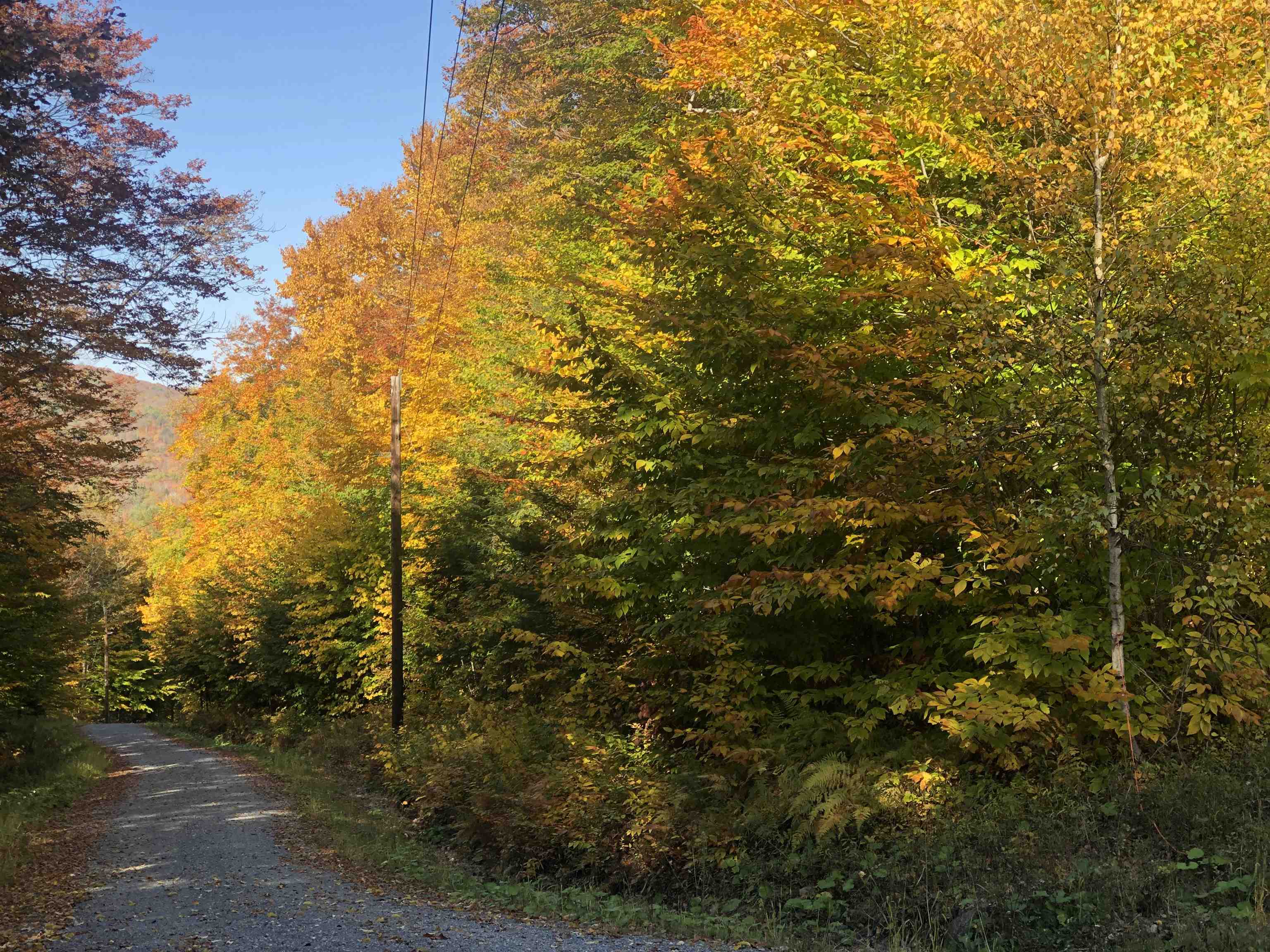 Homes for sale in Stamford, VT | 0 Andrea Dr, Stamford, VT 05352 | MLS# 4985234