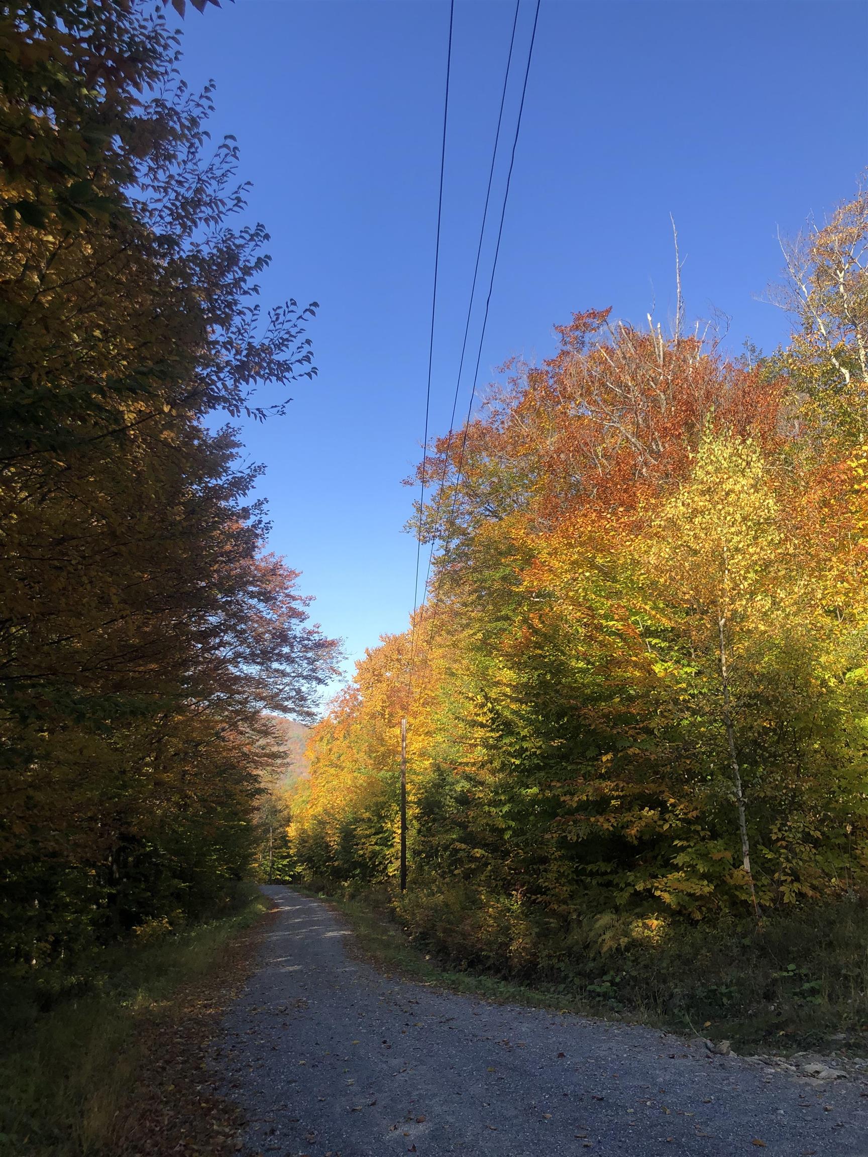 Homes for sale in Stamford, VT | 0 Andrea Dr, Stamford, VT 05352 | MLS# 4985234