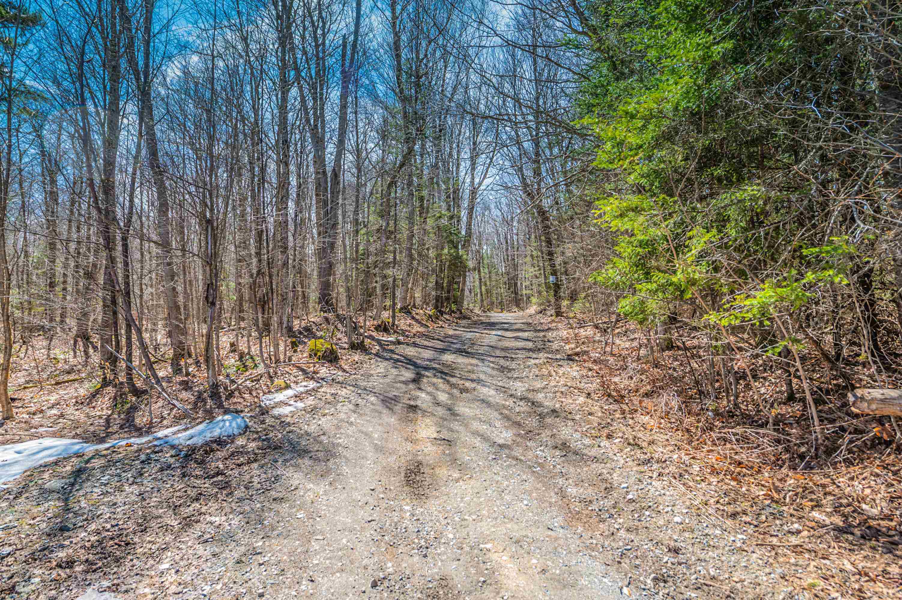 Homes for sale in Searsburg, VT | 20 Bishop Rd, Searsburg, VT 05363 | MLS# 4986106