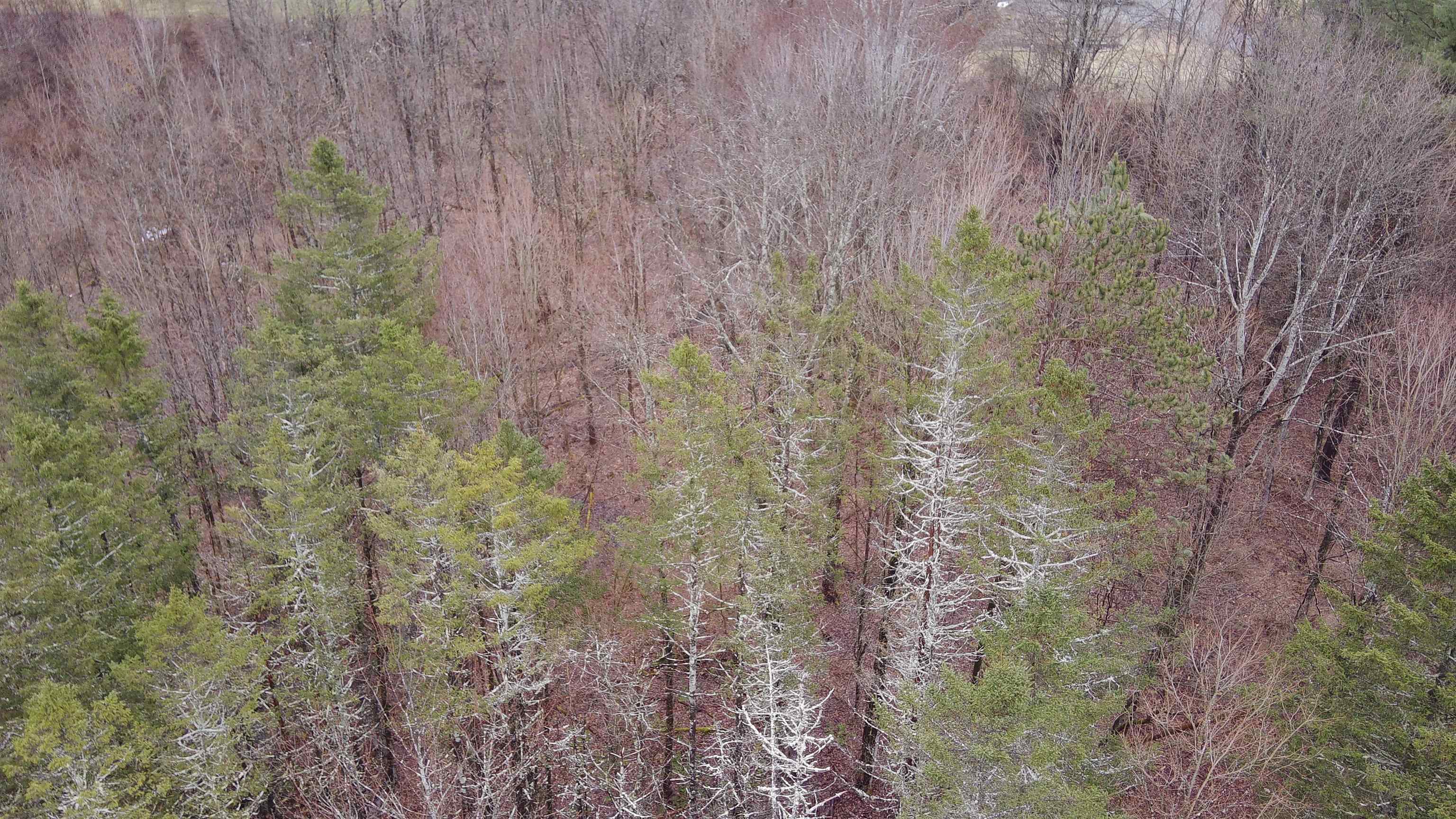 Homes for sale in Waterbury, VT | 00 Guild Hill Rd, Waterbury, VT 05677 | MLS# 4987230