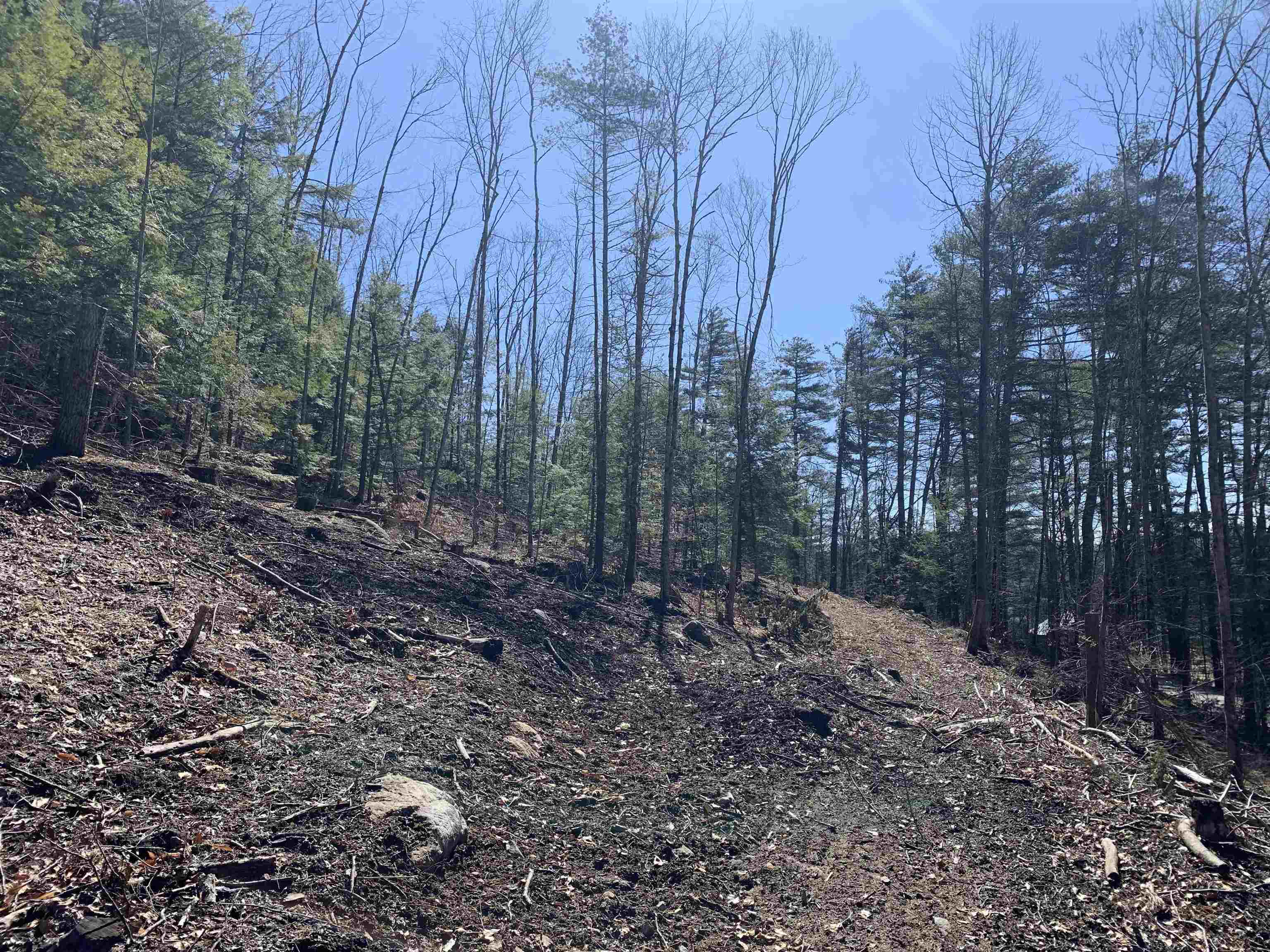 Homes for sale in Winchester, NH | Map3 Lot9 Scotland Rd, Winchester, NH 03470 | MLS# 4987413