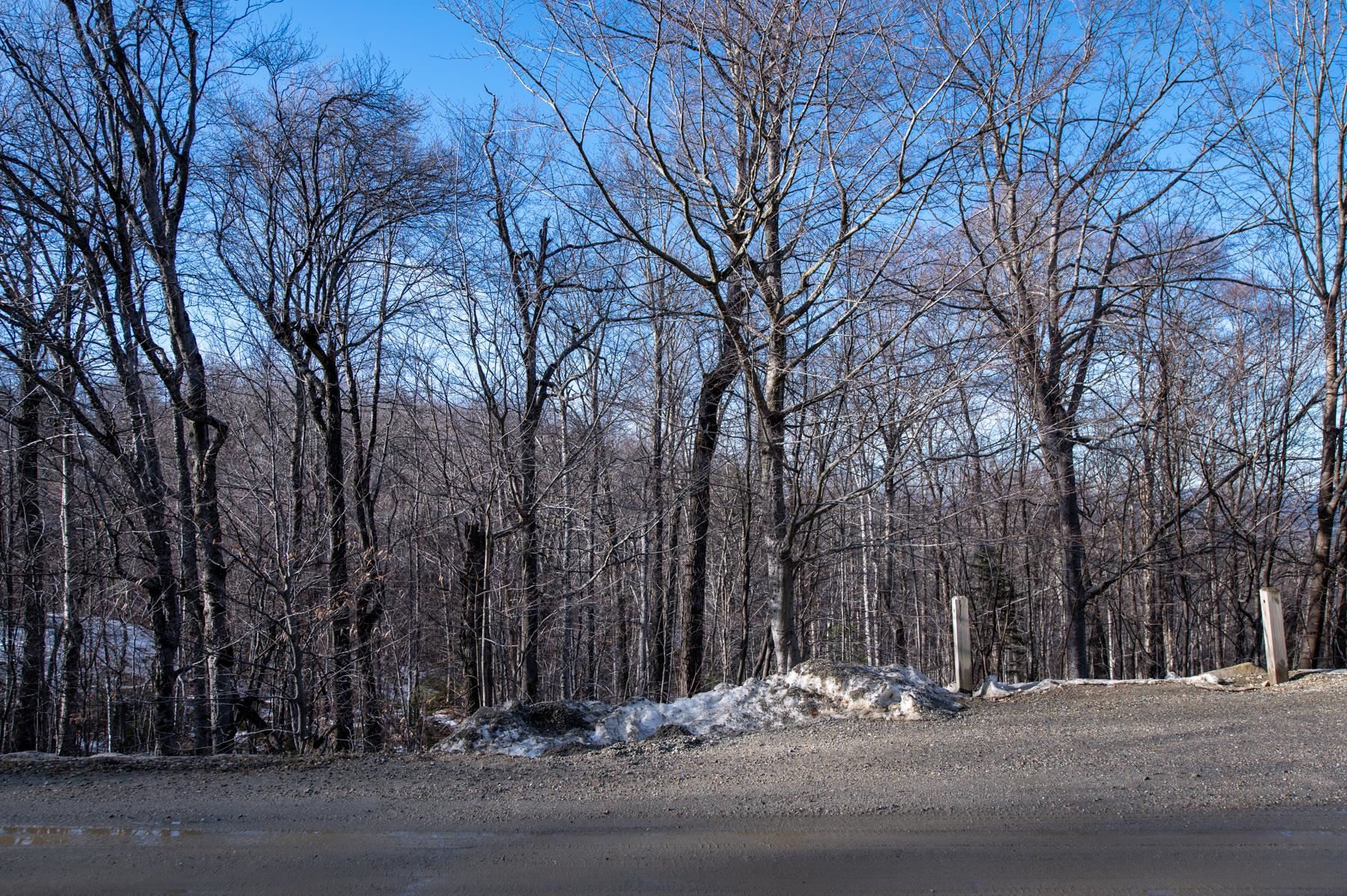 Homes for sale in Winhall, VT | 69 Benson Fuller Rd, Winhall, VT 05340 | MLS# 4988373