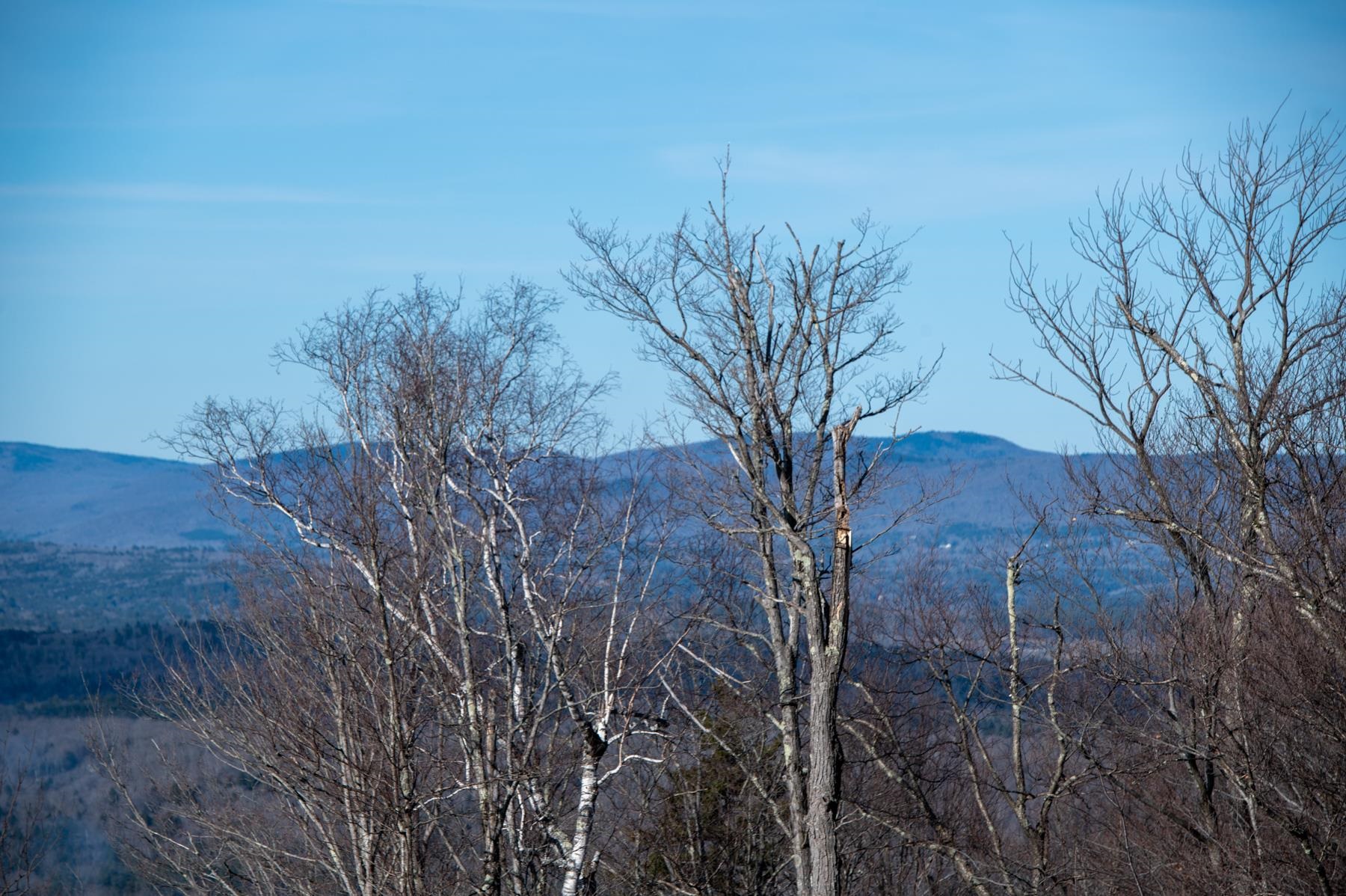 Homes for sale in Winhall, VT | 69 Benson Fuller Rd, Winhall, VT 05340 | MLS# 4988373