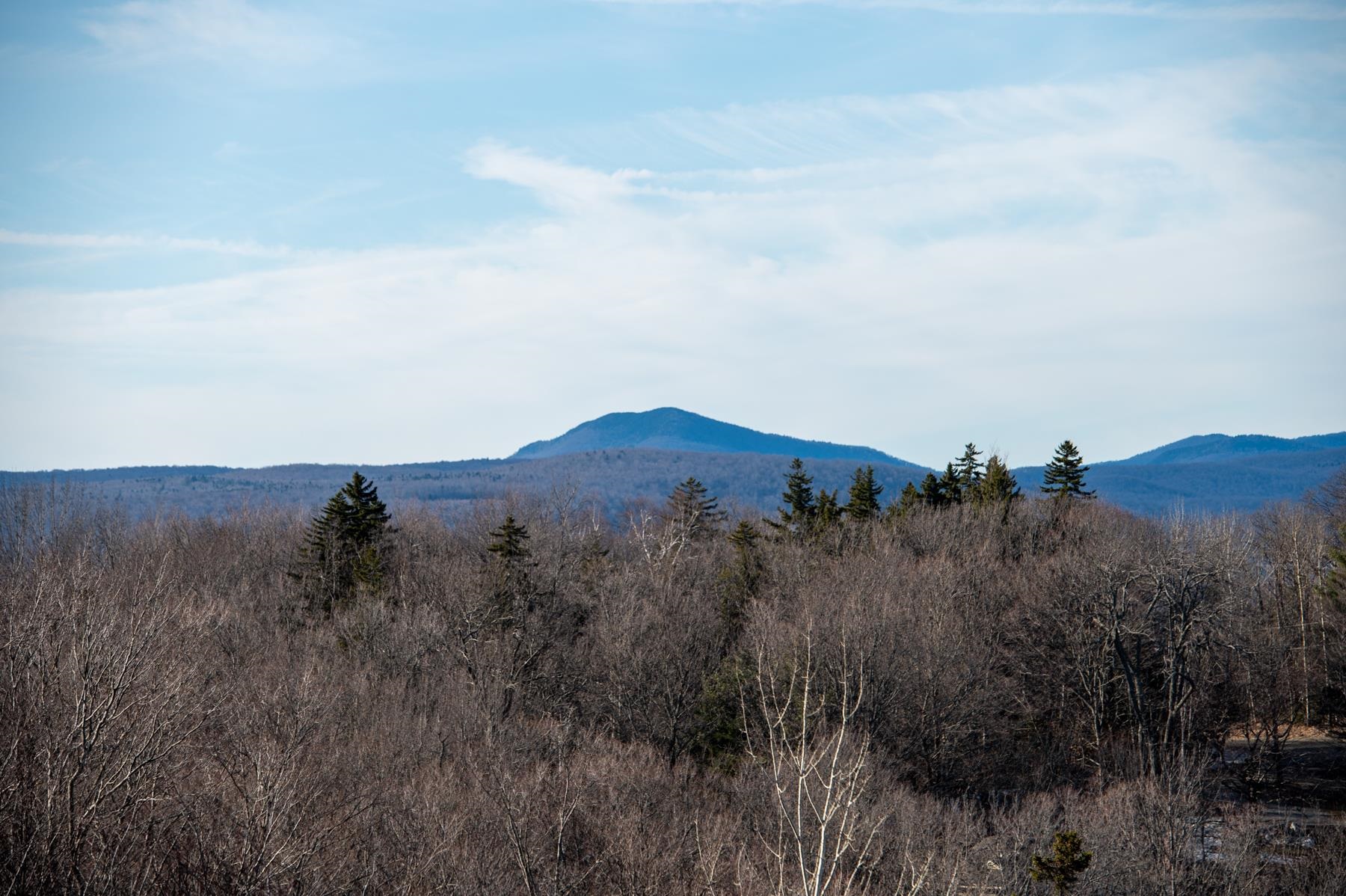 Homes for sale in Winhall, VT | 69 Benson Fuller Rd, Winhall, VT 05340 | MLS# 4988373