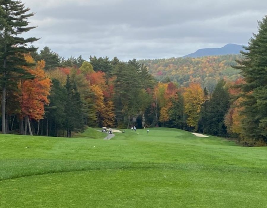 Homes for sale in Grantham, NH | 16 Clearwater Dr, Grantham, NH 03753 | MLS# 4989408