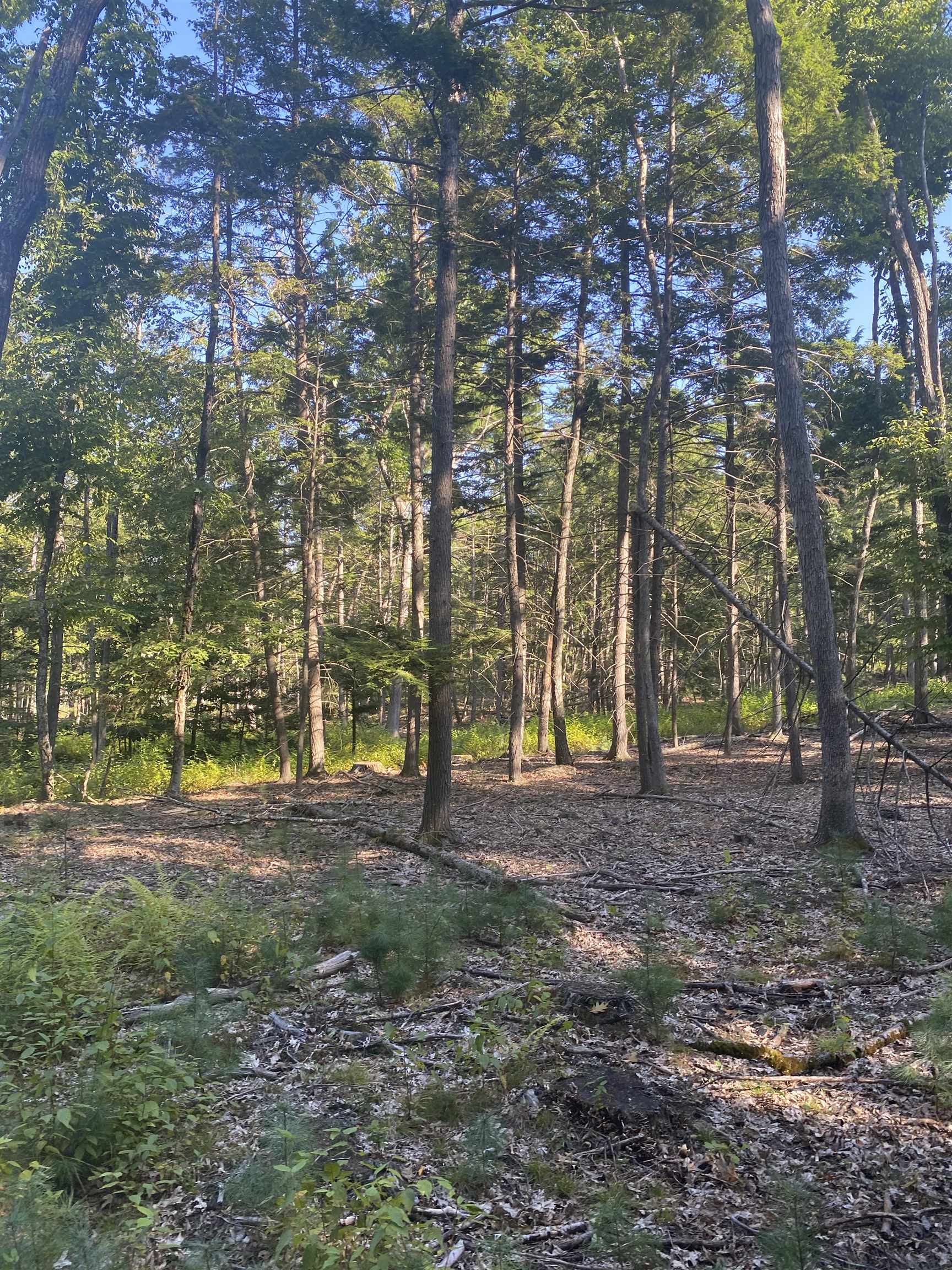 Homes for sale in Chester, NH | 00 Dump Rd, Chester, NH 03036 | MLS# 4989721