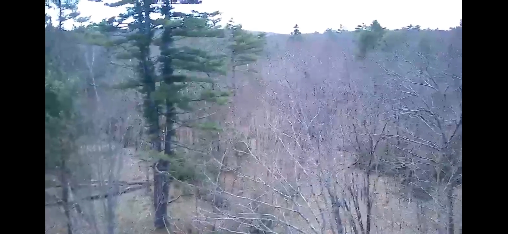 00 Dump Rd, Chester, NH 03036