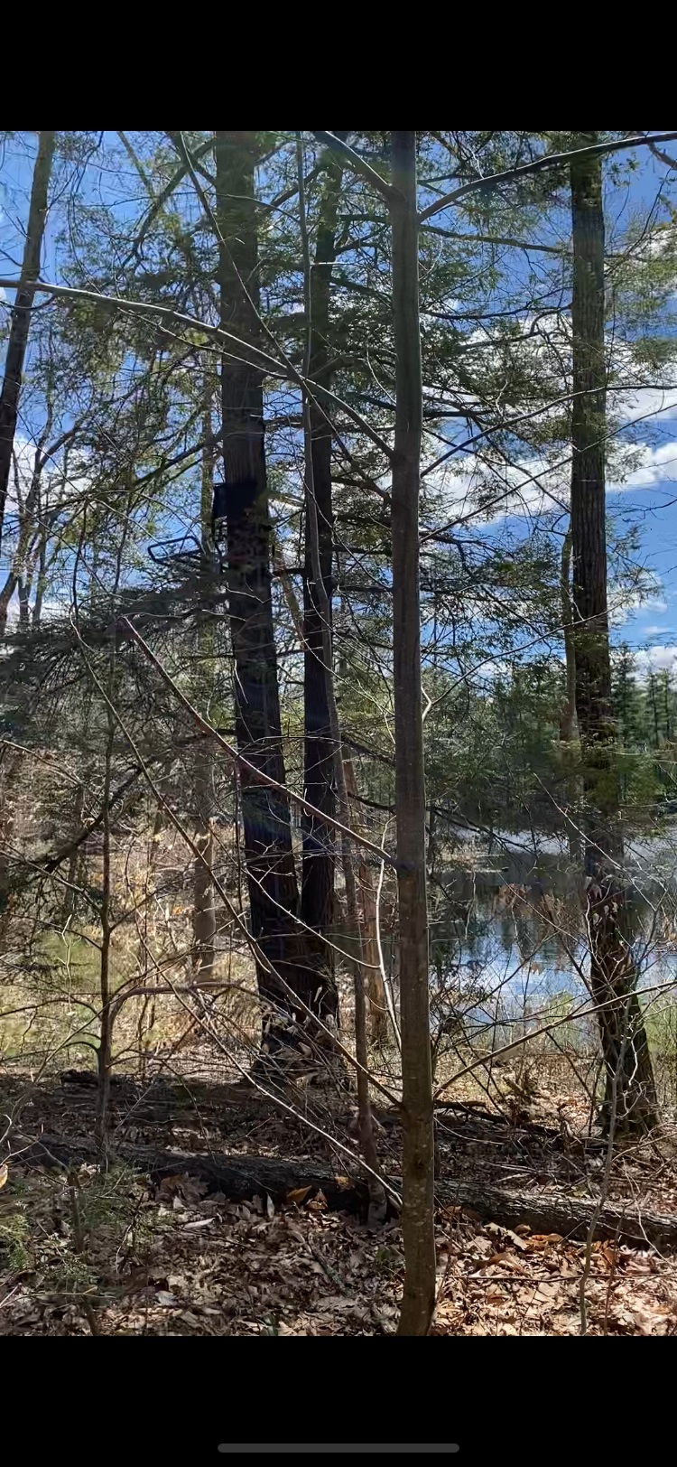 Homes for sale in Chester, NH | 00 Dump Rd, Chester, NH 03036 | MLS# 4989721