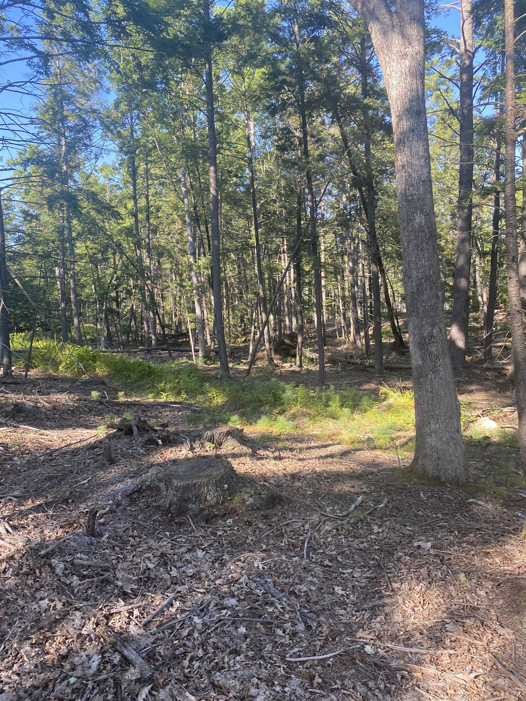 00 Dump Rd, Chester, NH 03036