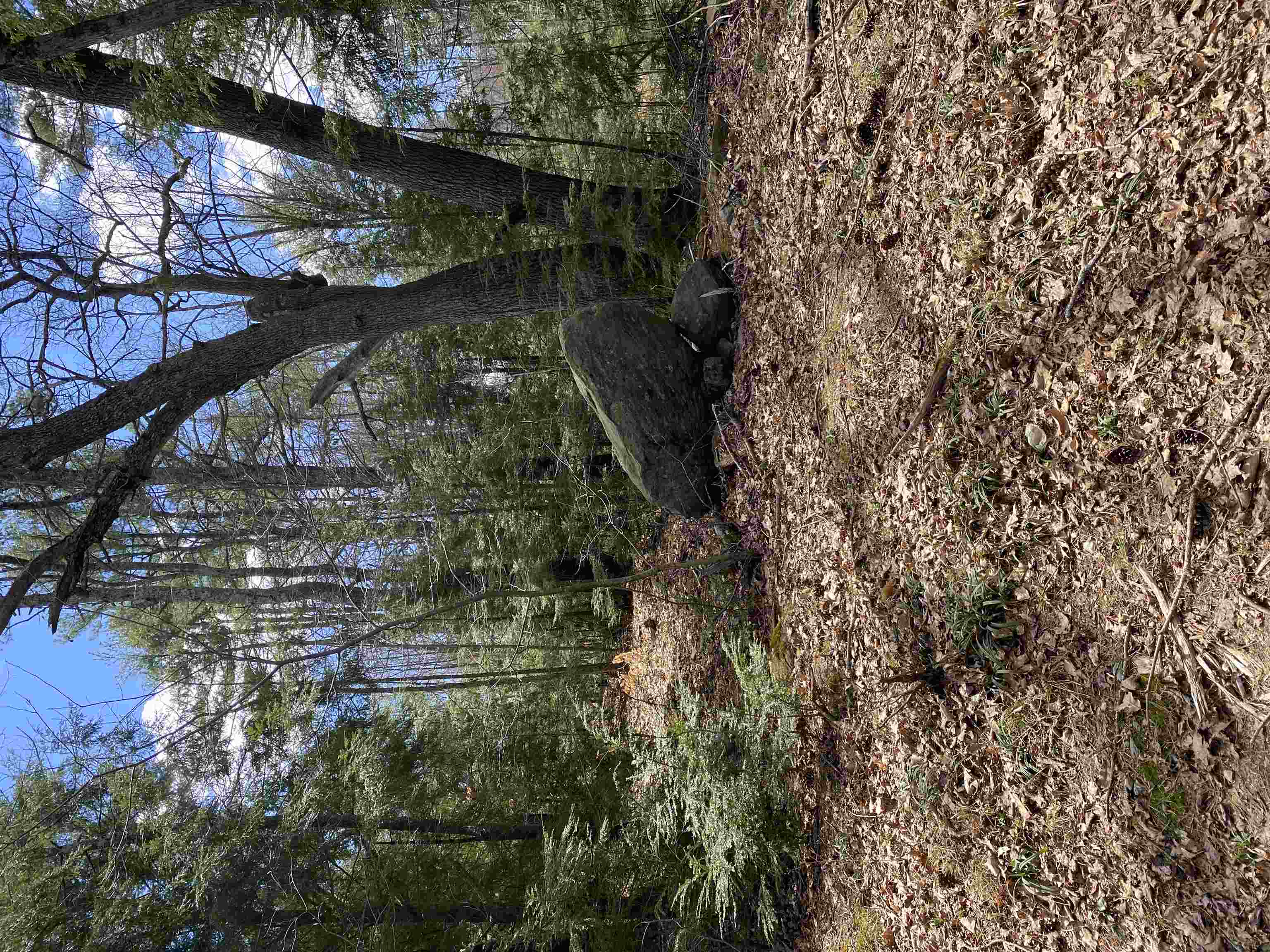 00 Dump Rd, Chester, NH 03036