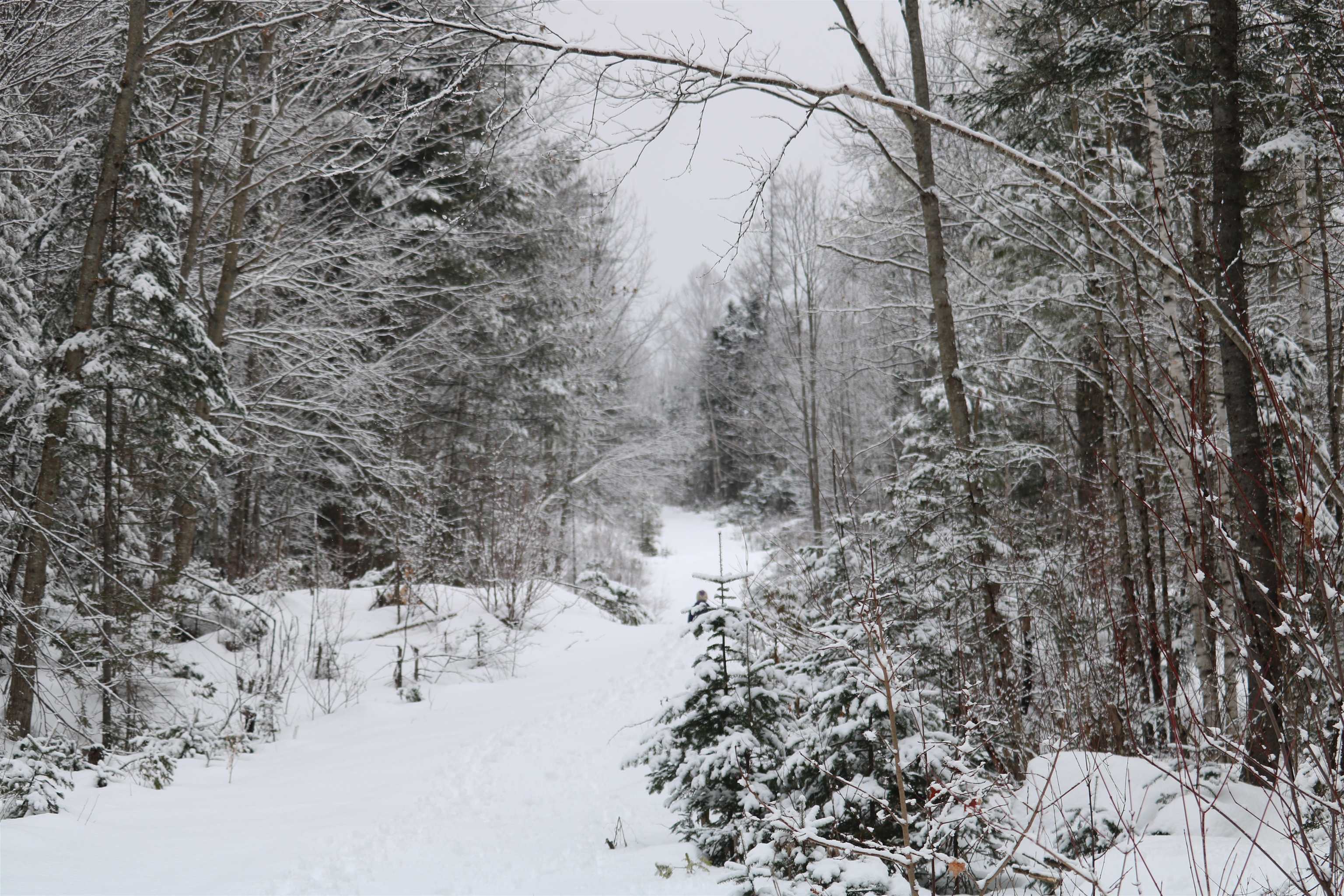 Homes for sale in Milan, NH | 26 Railroad St, Milan, NH 03588 | MLS# 4991289