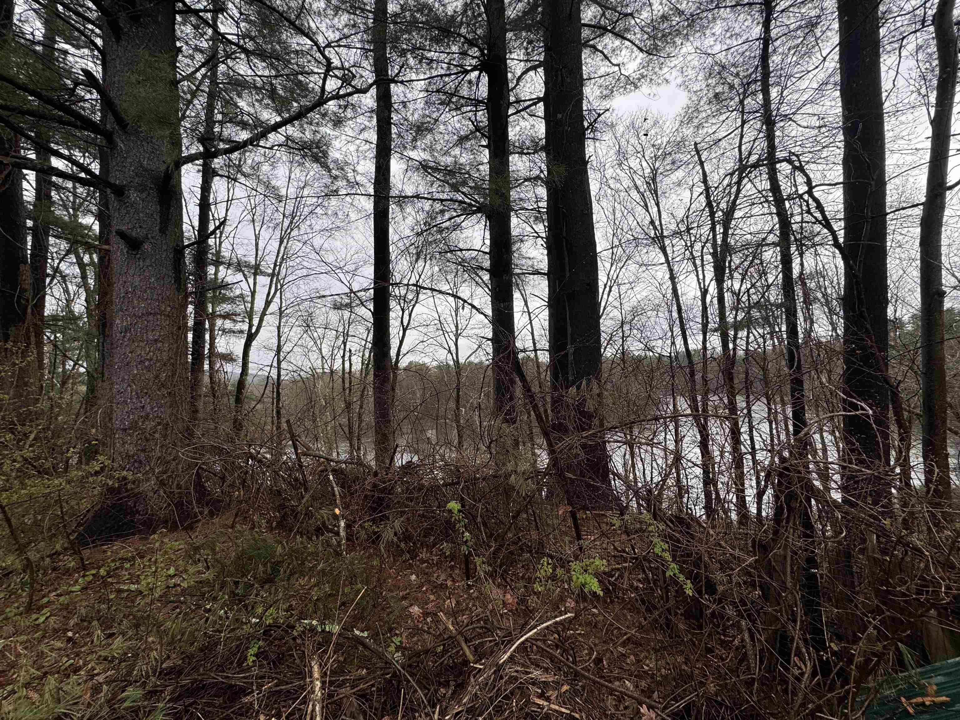 MLS #4993371 image #12