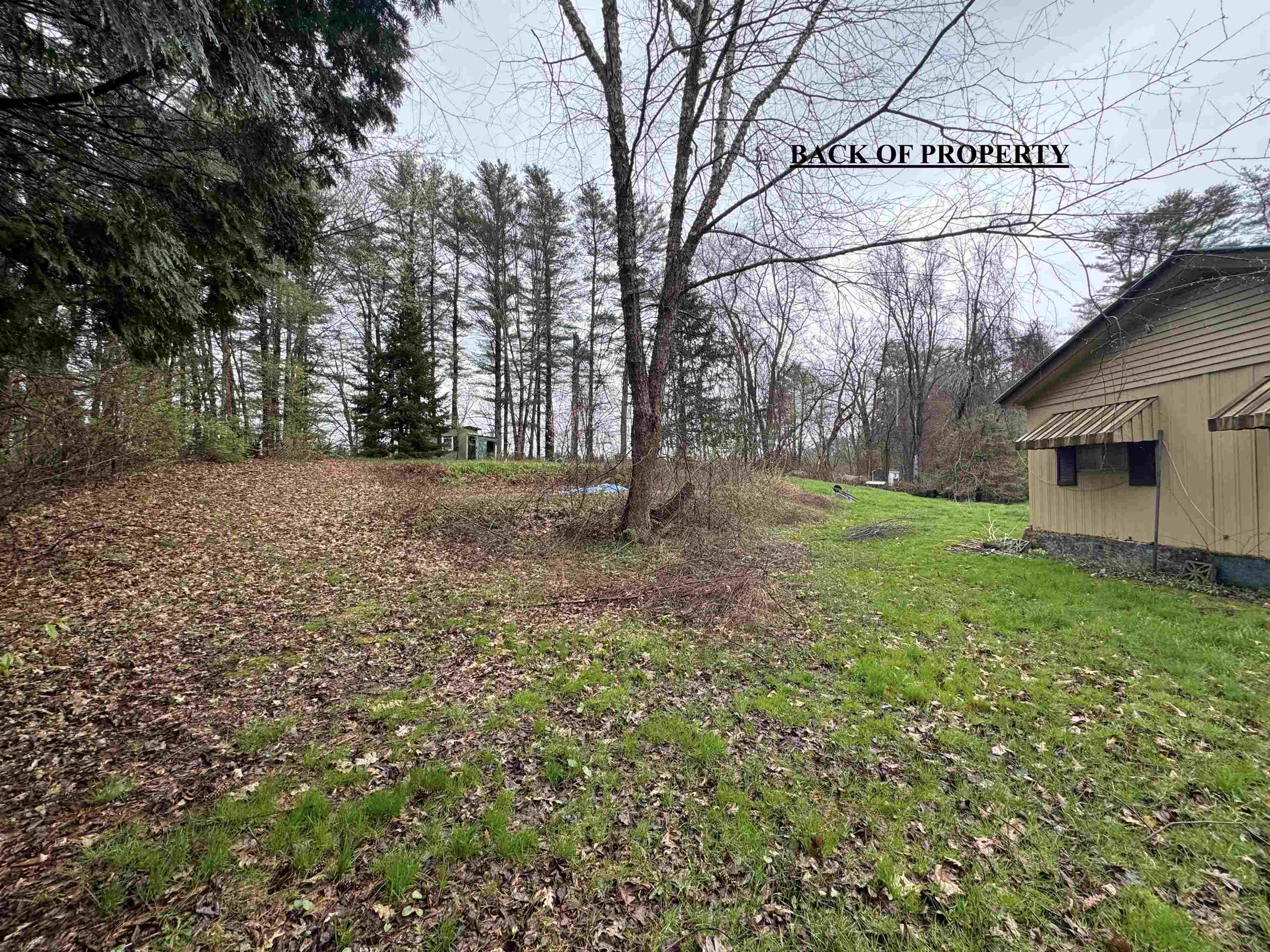 MLS #4993371 image #7