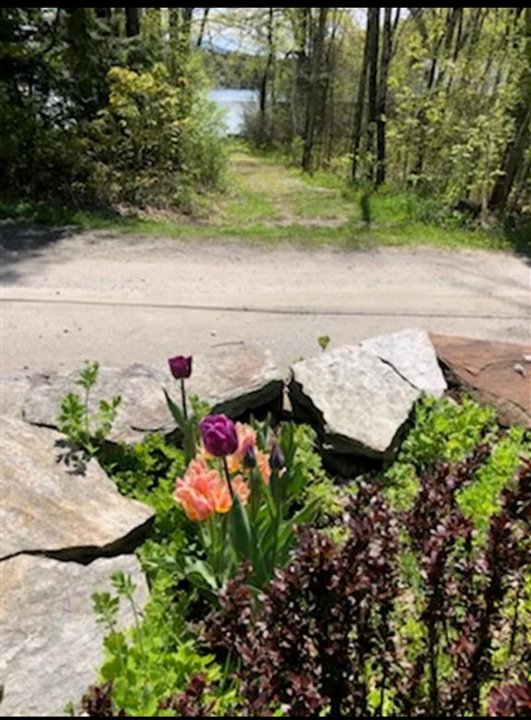 Homes for sale in Tinmouth, VT | 91 White Birch Dr, Tinmouth, VT 05773 | MLS# 4994483