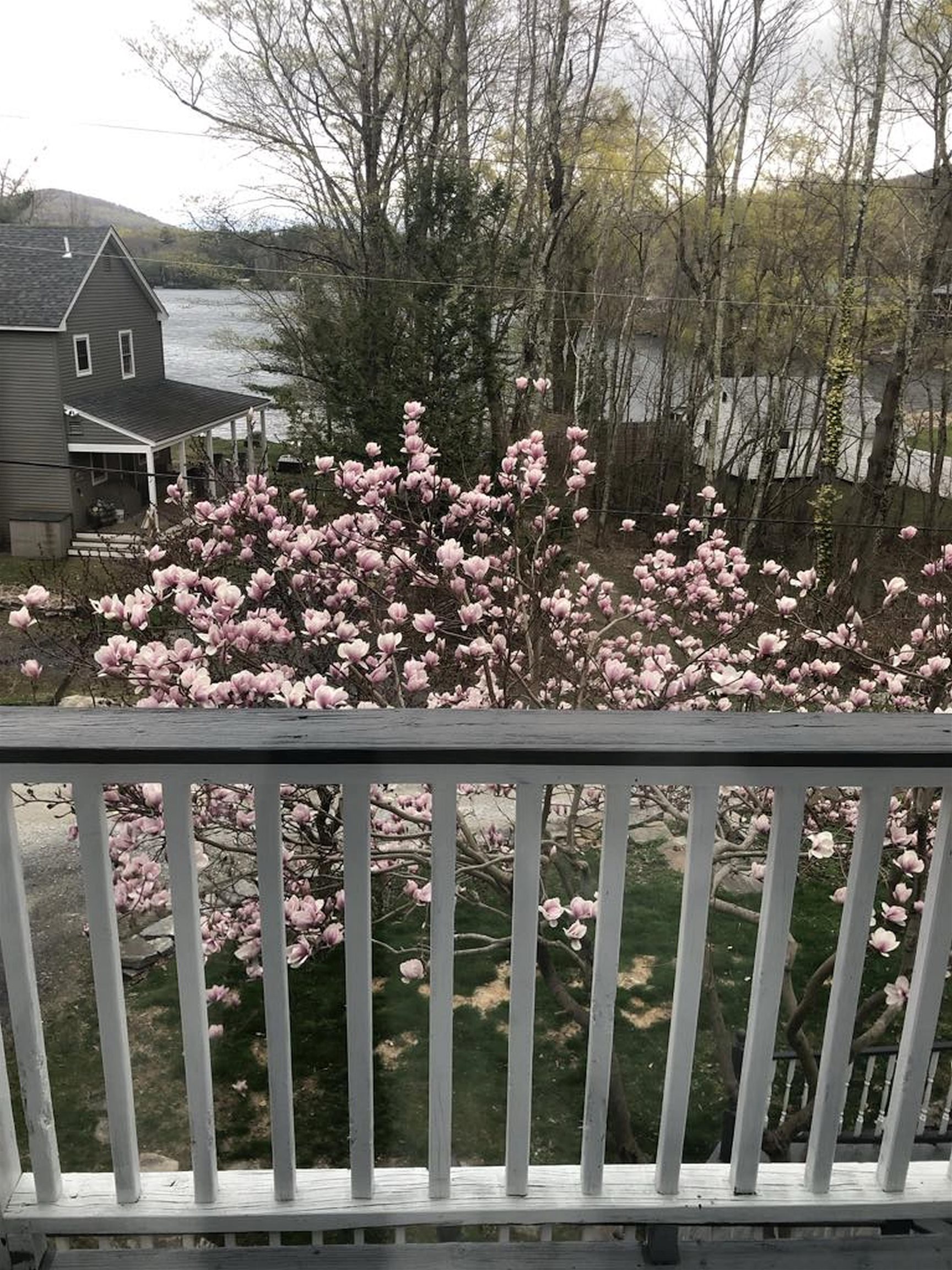 Homes for sale in Tinmouth, VT | 91 White Birch Dr, Tinmouth, VT 05773 | MLS# 4994483