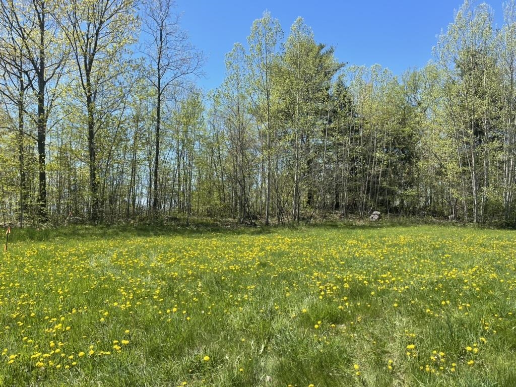 Homes for sale in Bridport, VT | Tbd Forrest Rd, Bridport, VT 05734 | MLS# 4995061