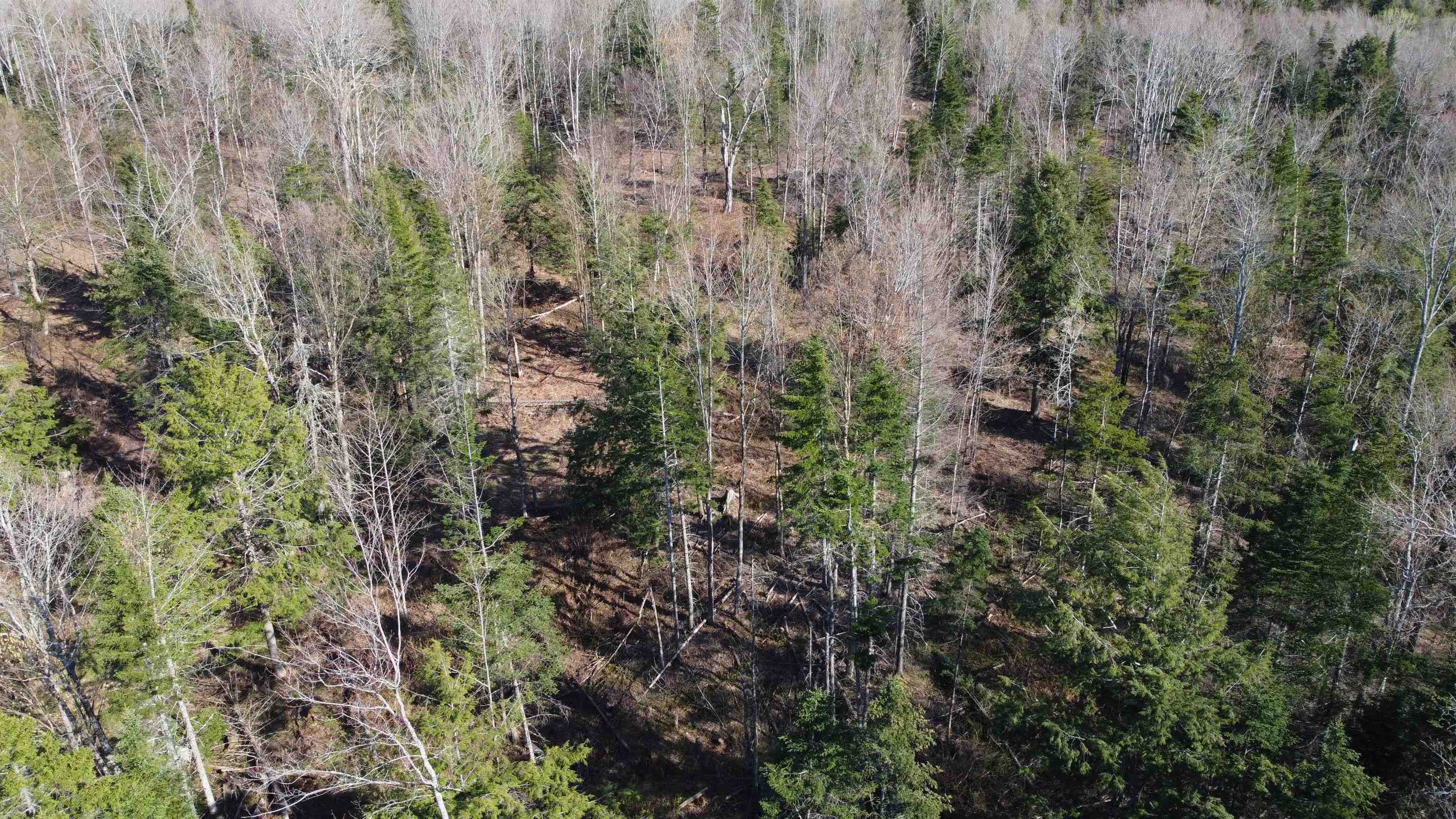 Homes for sale in Brighton, VT | 0 Atwood Rd, Brighton, VT 05846 | MLS# 4995675