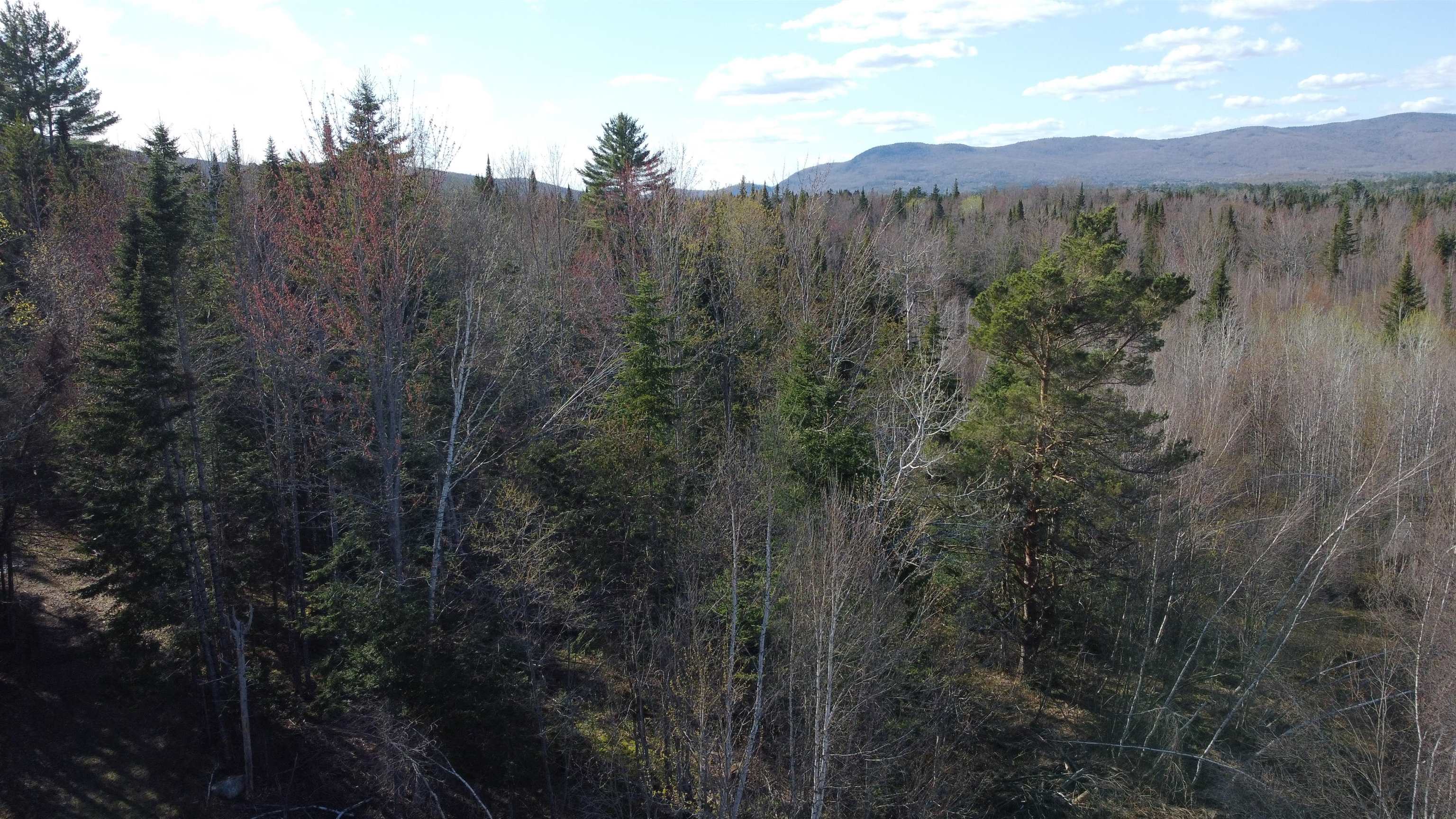 Homes for sale in Brighton, VT | 0 Atwood Rd, Brighton, VT 05846 | MLS# 4995675