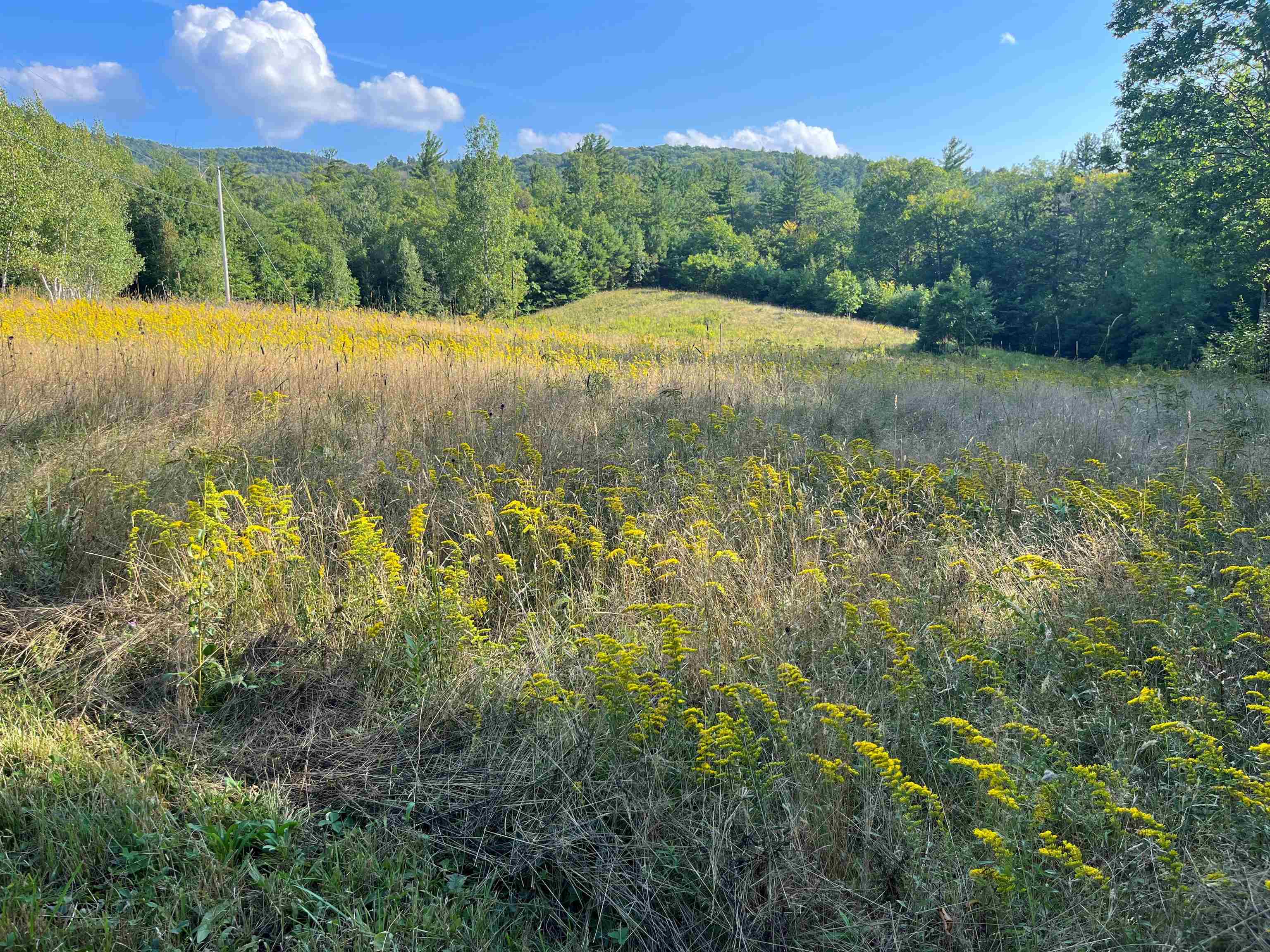 Homes for sale in Wilmot, NH | 0 Howe Rd, Wilmot, NH 03287 | MLS# 4996459