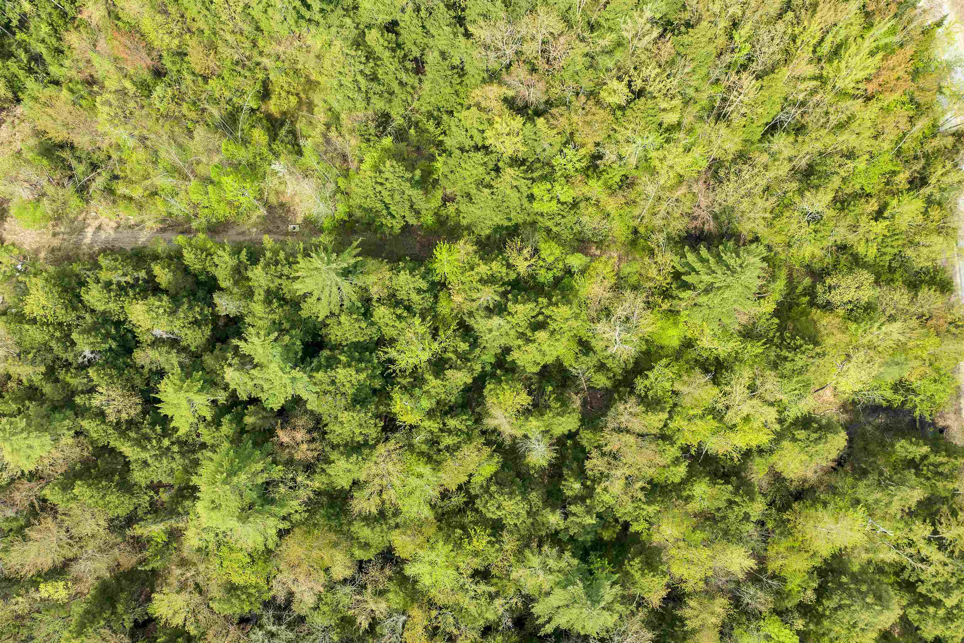 Homes for sale in Conway, NH | Lots42,43,44,49 G St, Conway, NH 03818 | MLS# 4996541