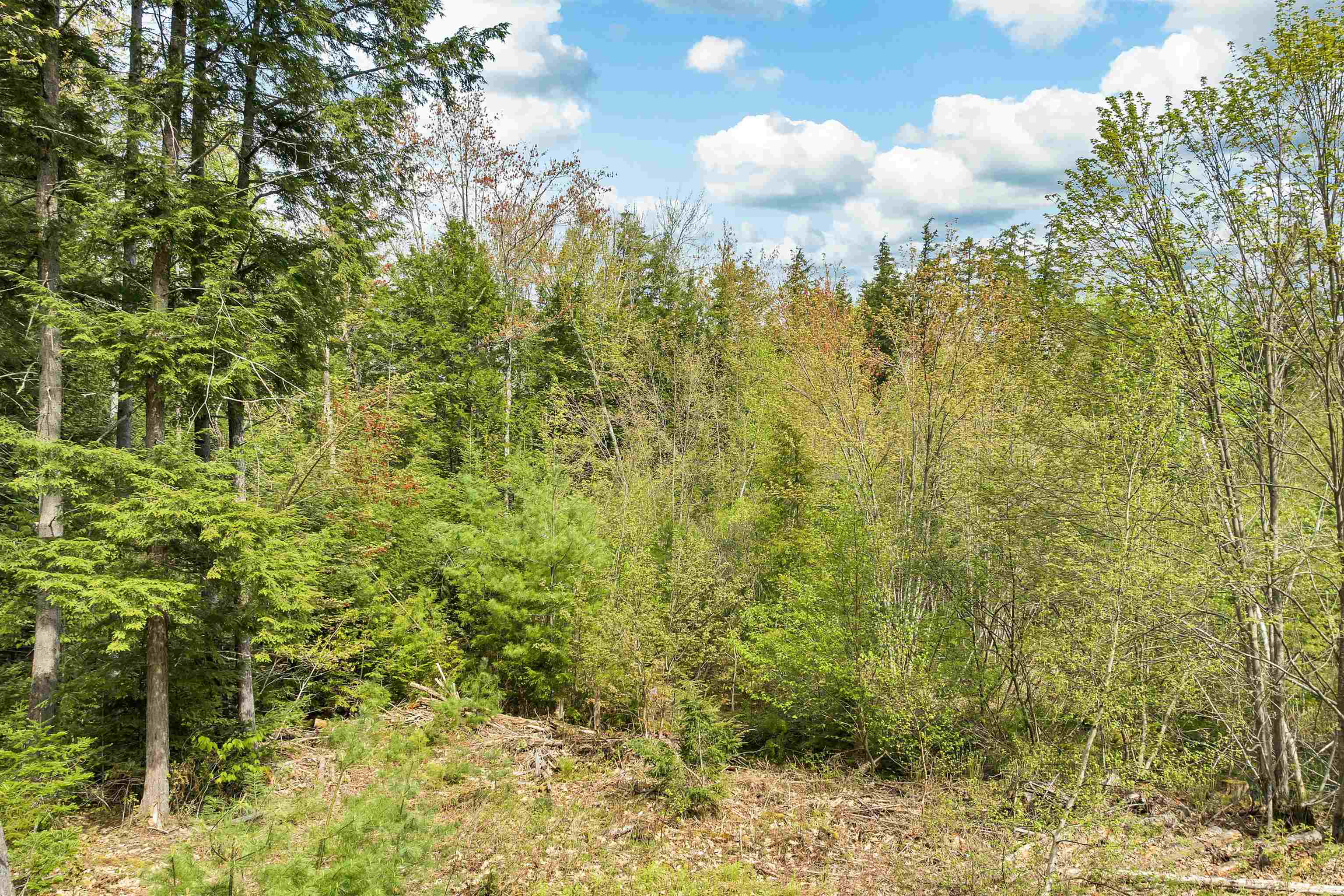 Homes for sale in Conway, NH | Lots42,43,44,49 G St, Conway, NH 03818 | MLS# 4996541