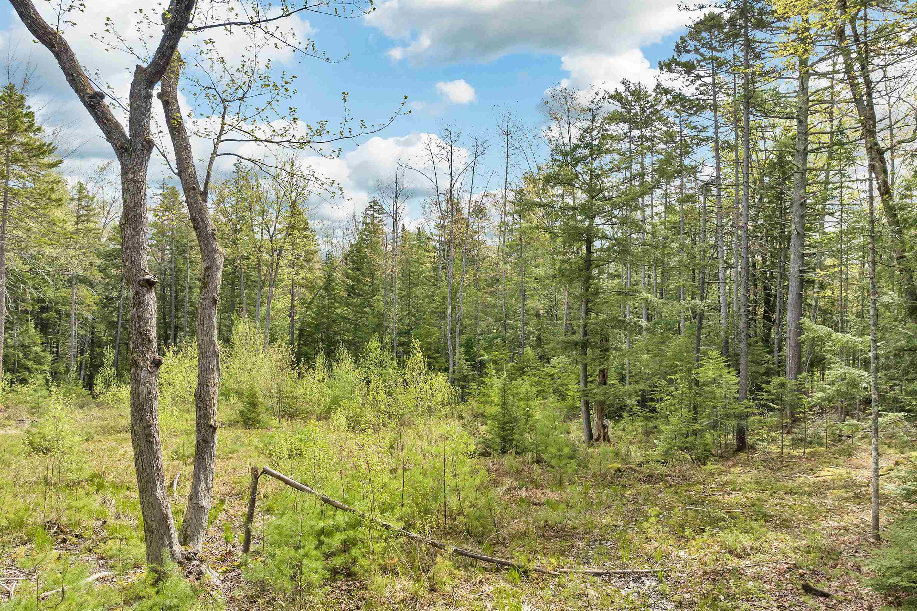 Homes for sale in Conway, NH | Lots42,43,44,49 G St, Conway, NH 03818 | MLS# 4996541