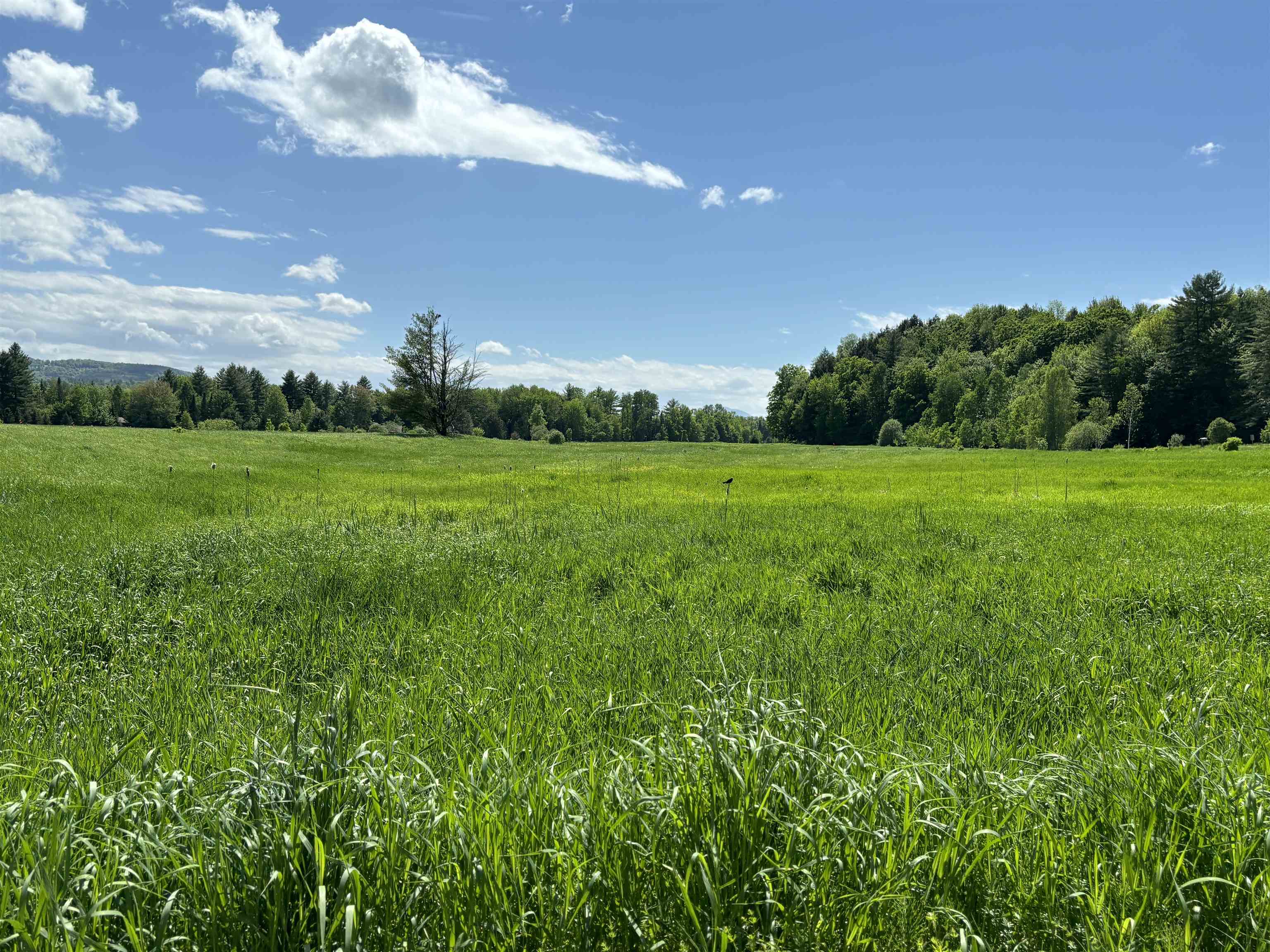 Homes for sale in Morristown, VT | Lot #5 Lawrence Rd, Morristown, VT 05661 | MLS# 4997294