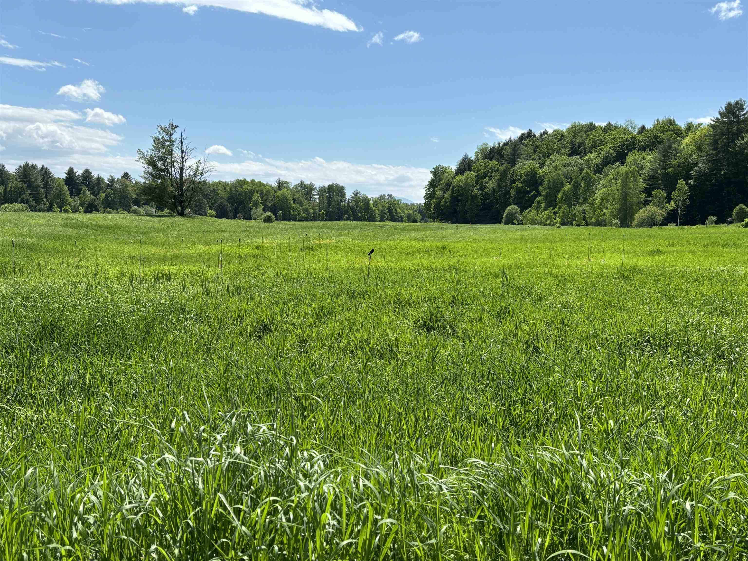 Homes for sale in Morristown, VT | Lot #5 Lawrence Rd, Morristown, VT 05661 | MLS# 4997294