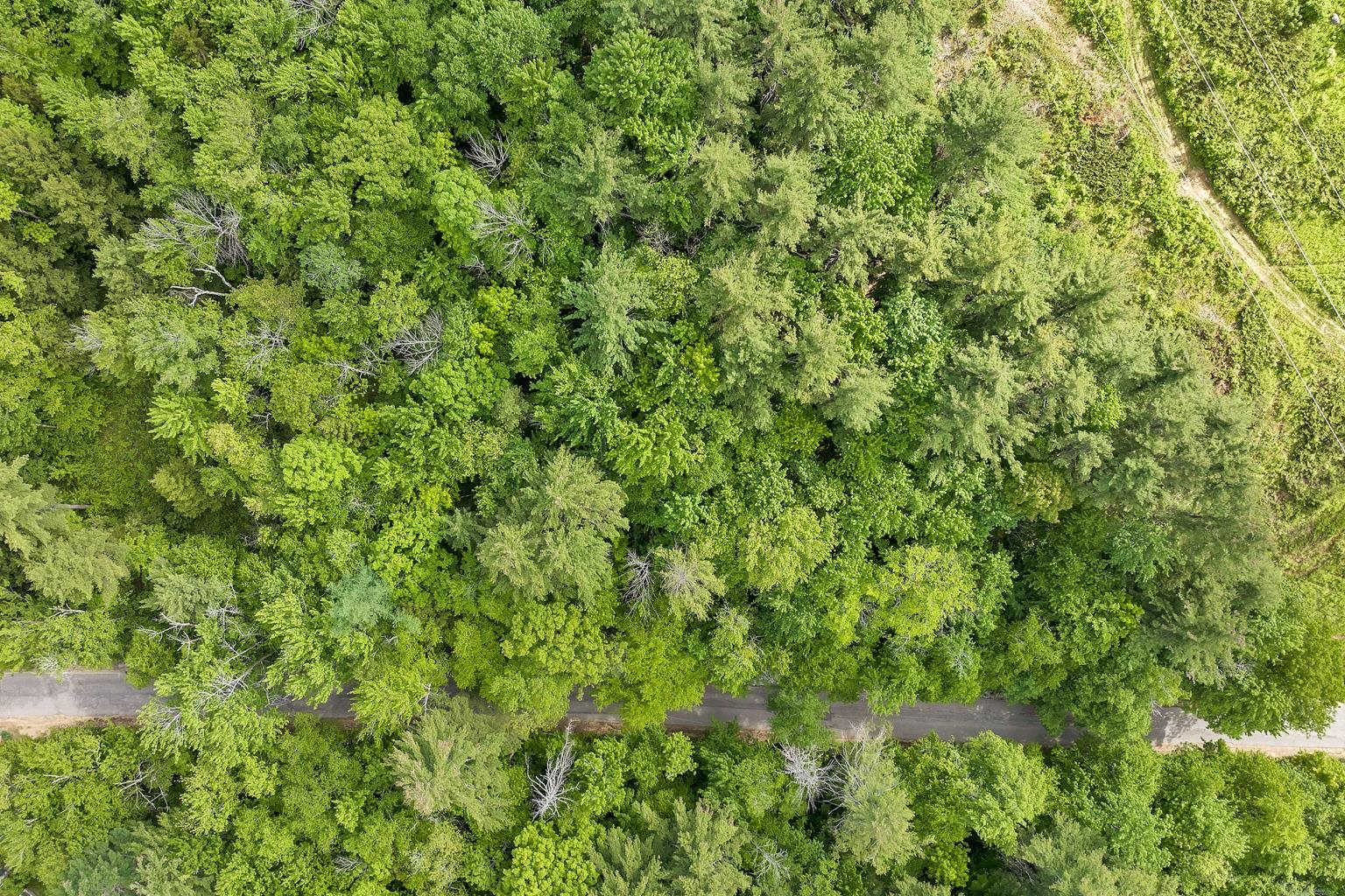 MLS #4997686 image #12