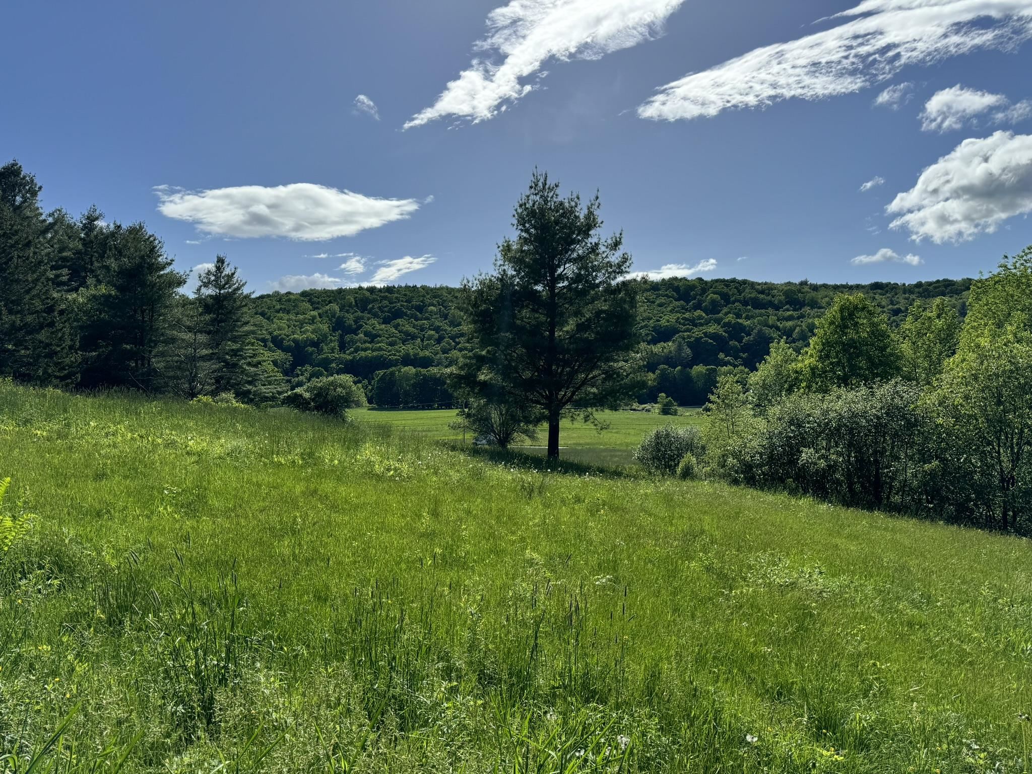 Homes for sale in Wilmington, VT | 0 Happy Haven Rd, Wilmington, VT 05363 | MLS# 4998180