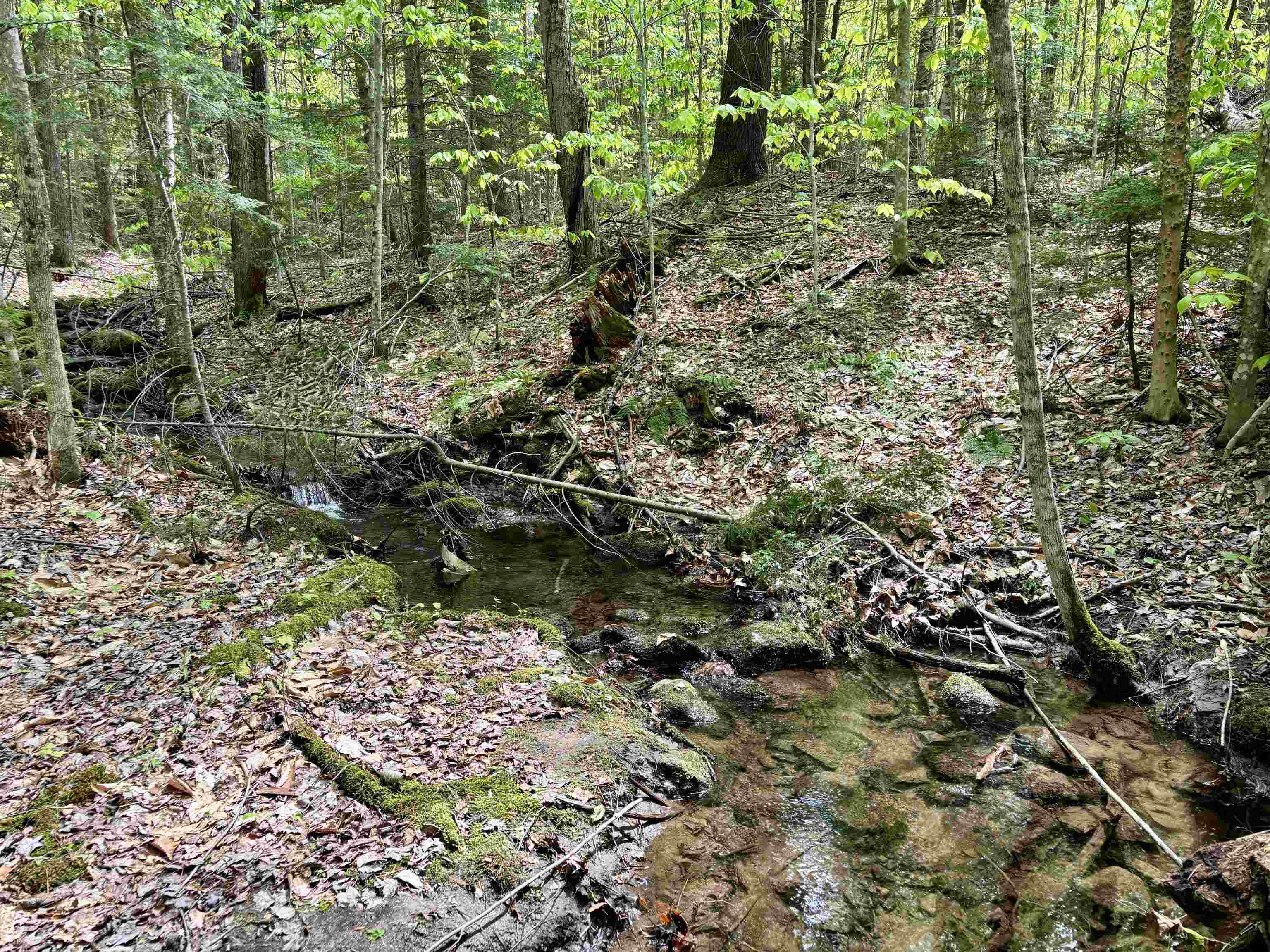 Homes for sale in Chester, VT | 0 Snell Rd, Chester, VT 05143 | MLS# 4999159