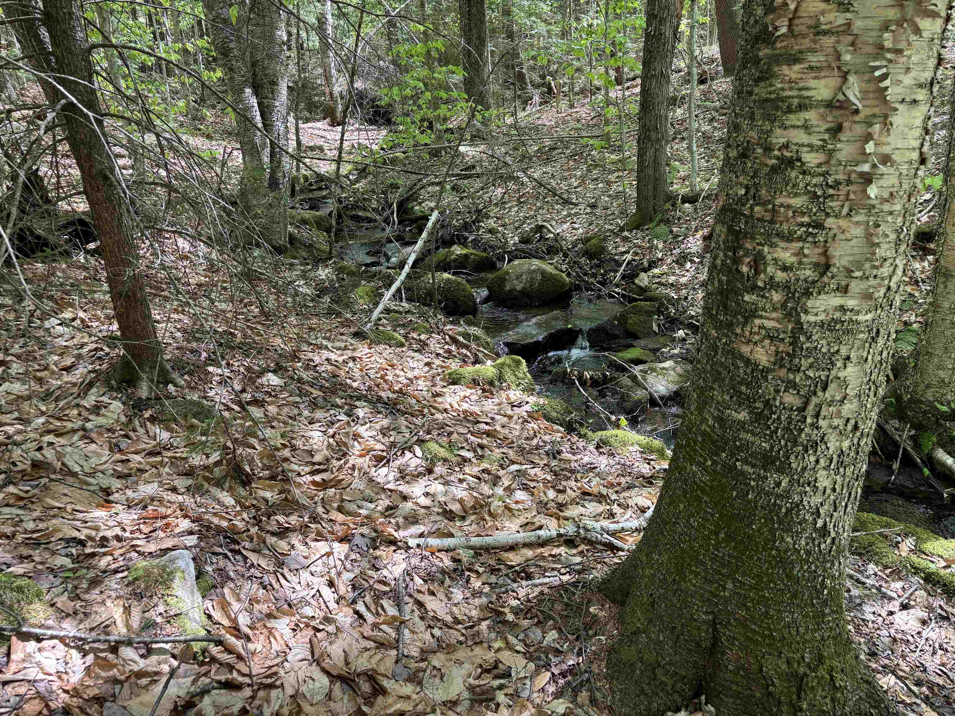 Homes for sale in Chester, VT | 0 Snell Rd, Chester, VT 05143 | MLS# 4999159