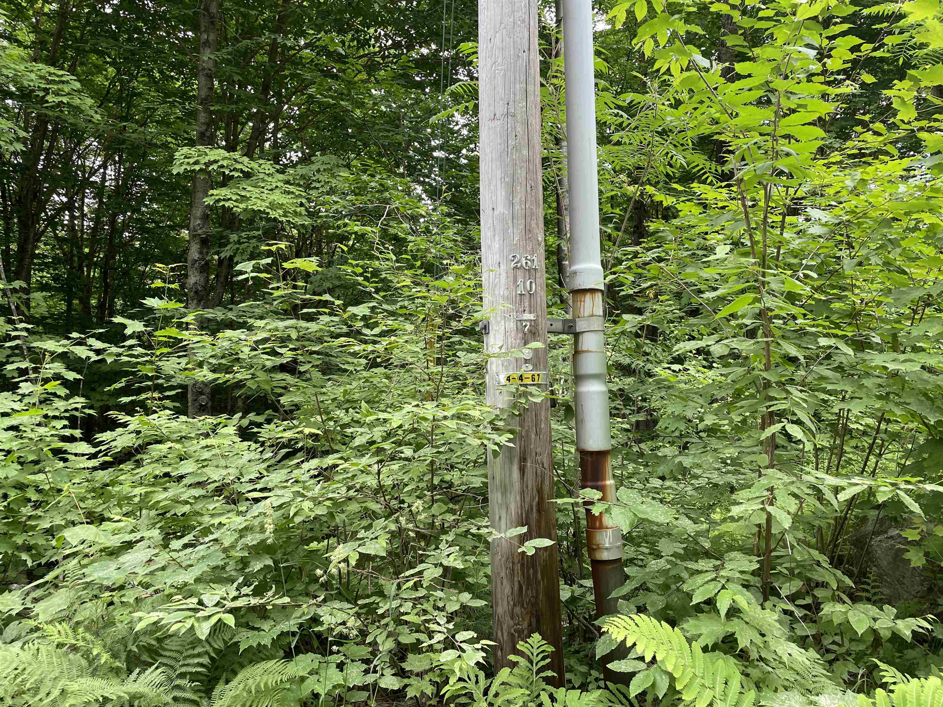 Homes for sale in Chester, VT | 0 Snell Rd, Chester, VT 05143 | MLS# 4999159