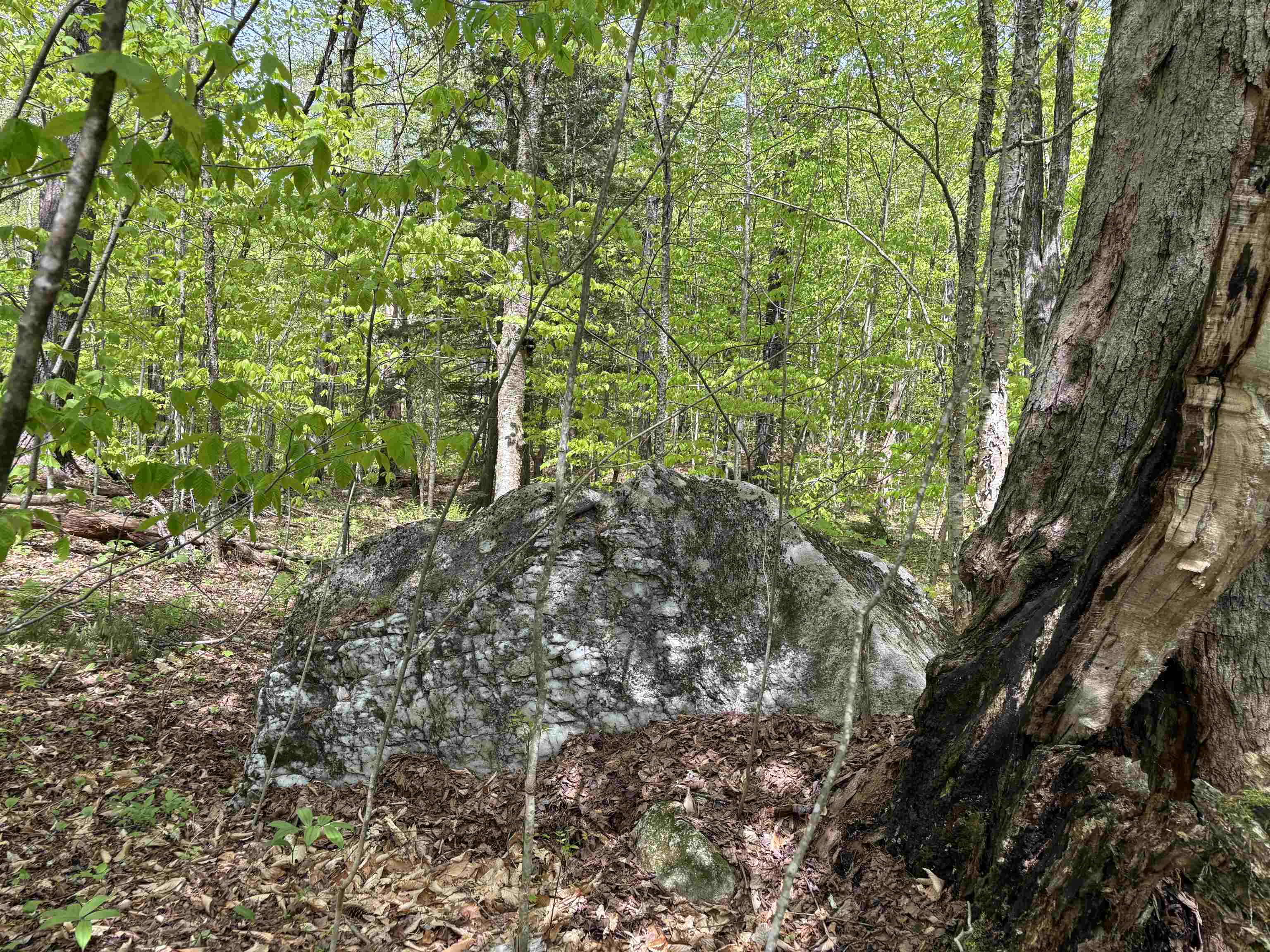 Homes for sale in Chester, VT | 0 Snell Rd, Chester, VT 05143 | MLS# 4999159