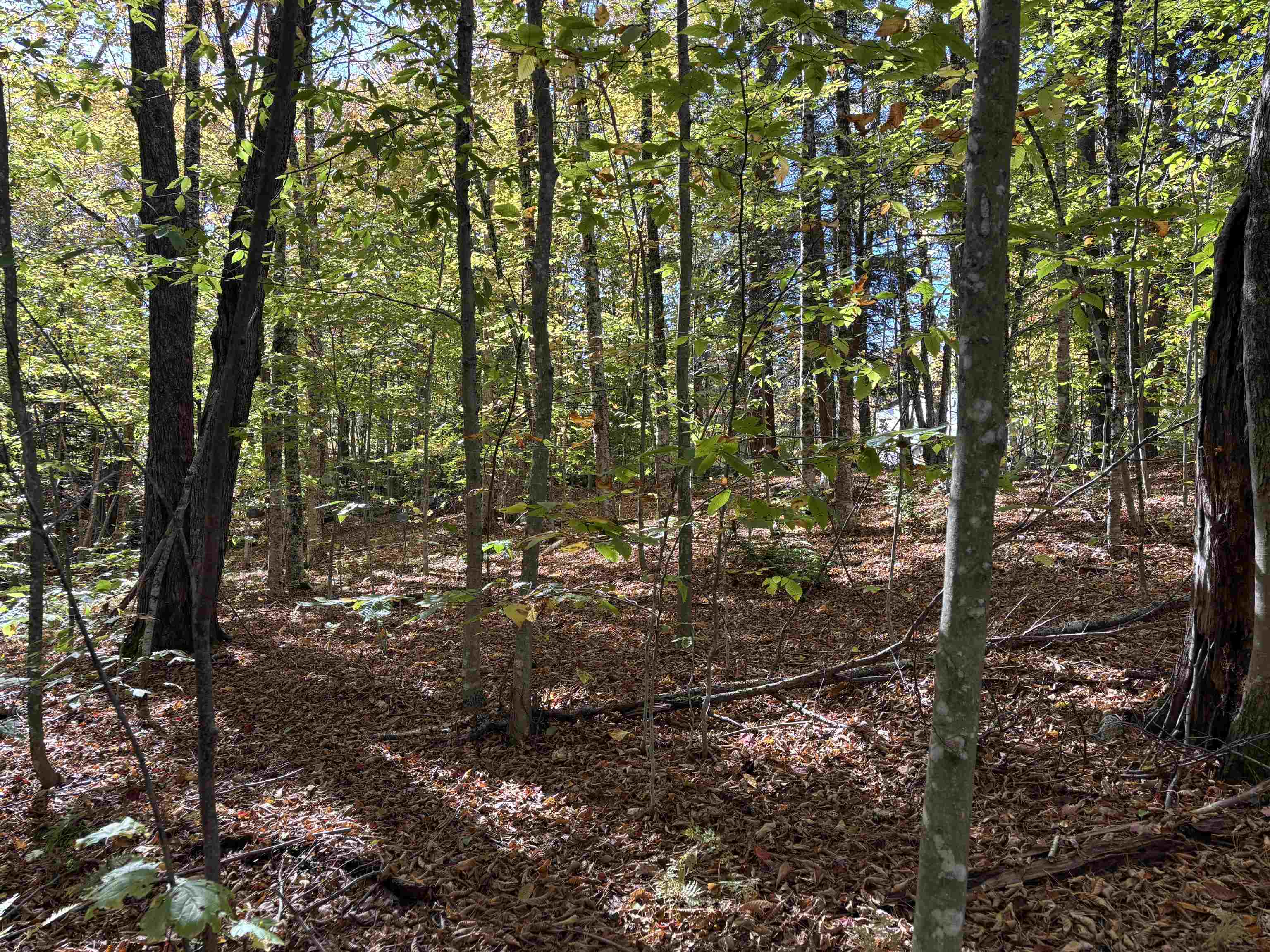 Homes for sale in Chester, VT | 0 Snell Rd, Chester, VT 05143 | MLS# 4999159