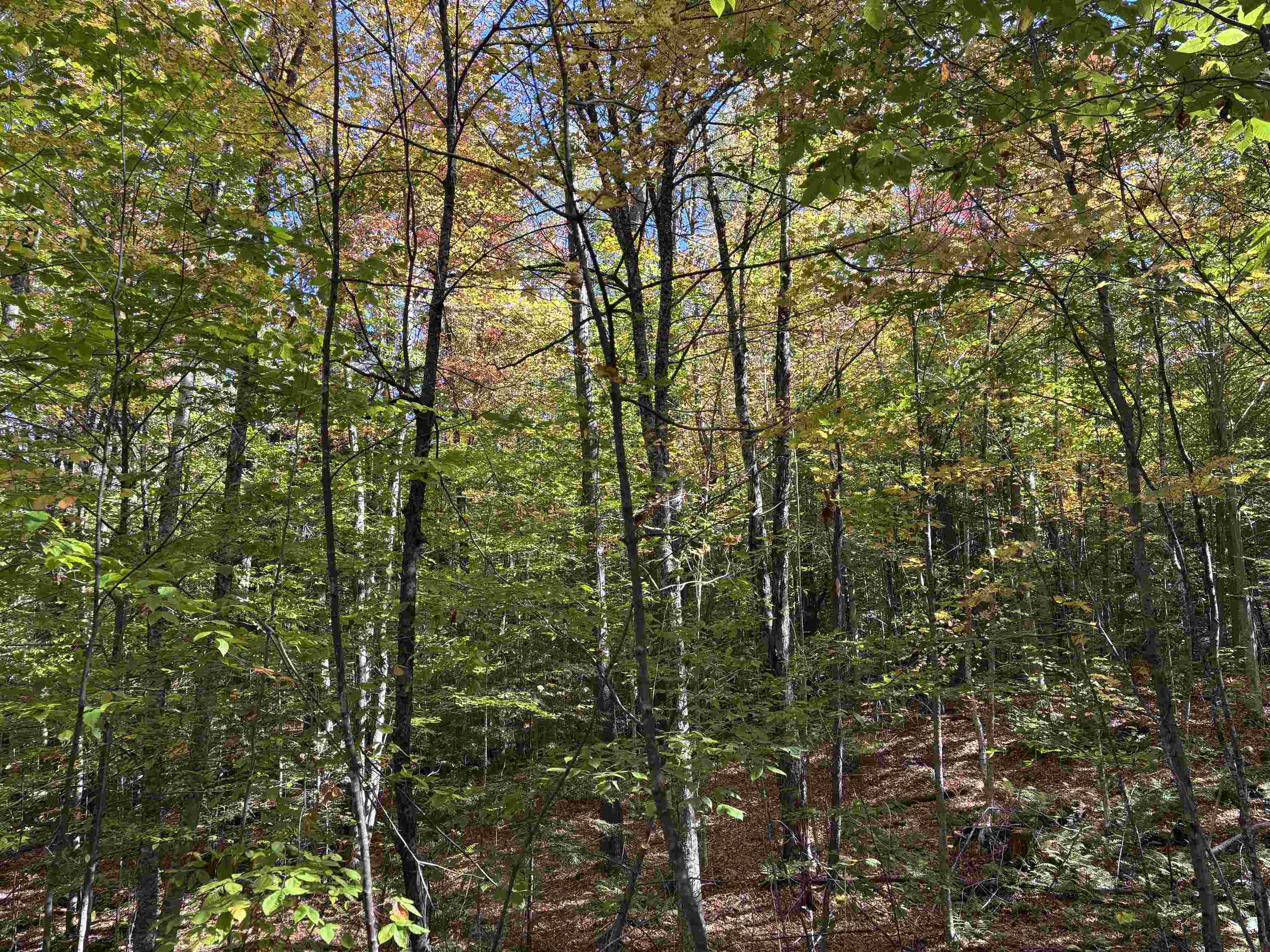 Homes for sale in Chester, VT | 0 Snell Rd, Chester, VT 05143 | MLS# 4999159