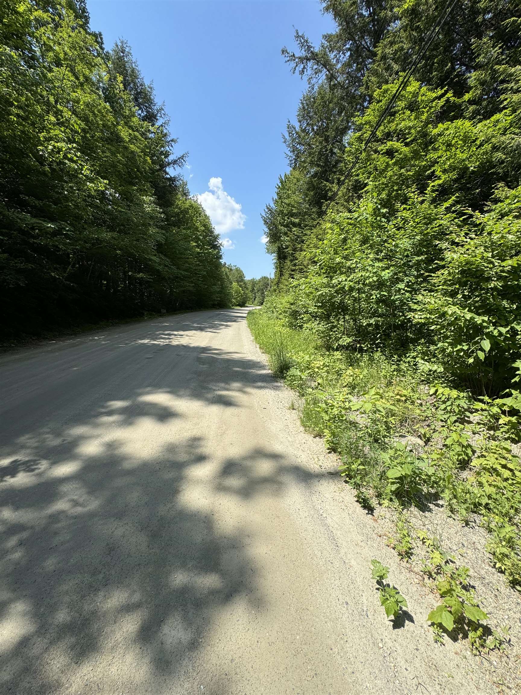 Homes for sale in Wardsboro, VT | 0 Boardman Loop, Wardsboro, VT 05360 | MLS# 4999194