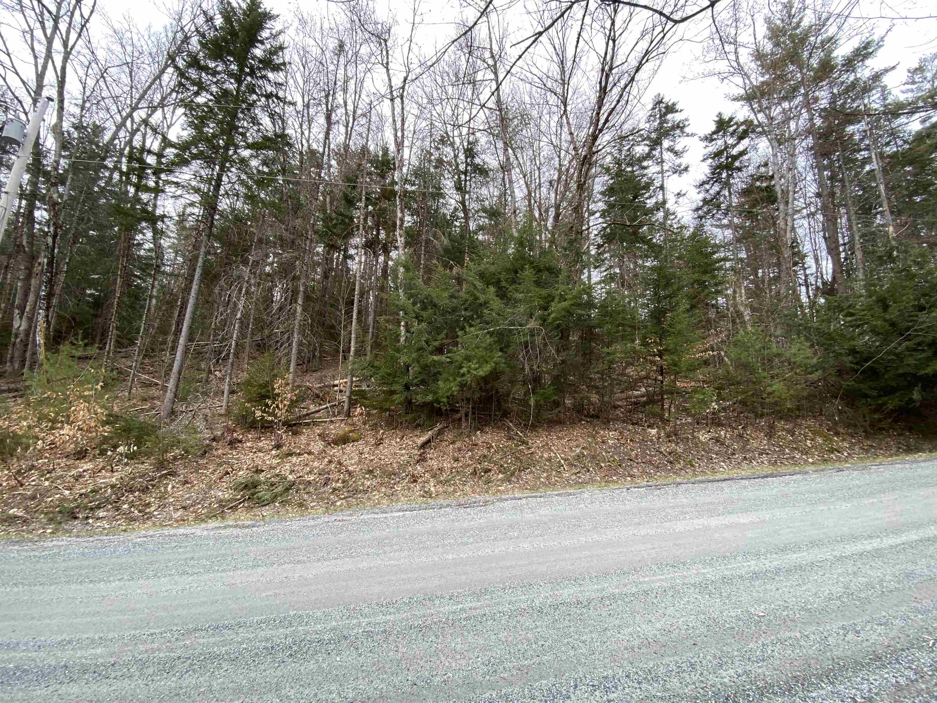 Homes for sale in Grantham, NH | 27 Spring Valley Dr, Grantham, NH 03753 | MLS# 4999291