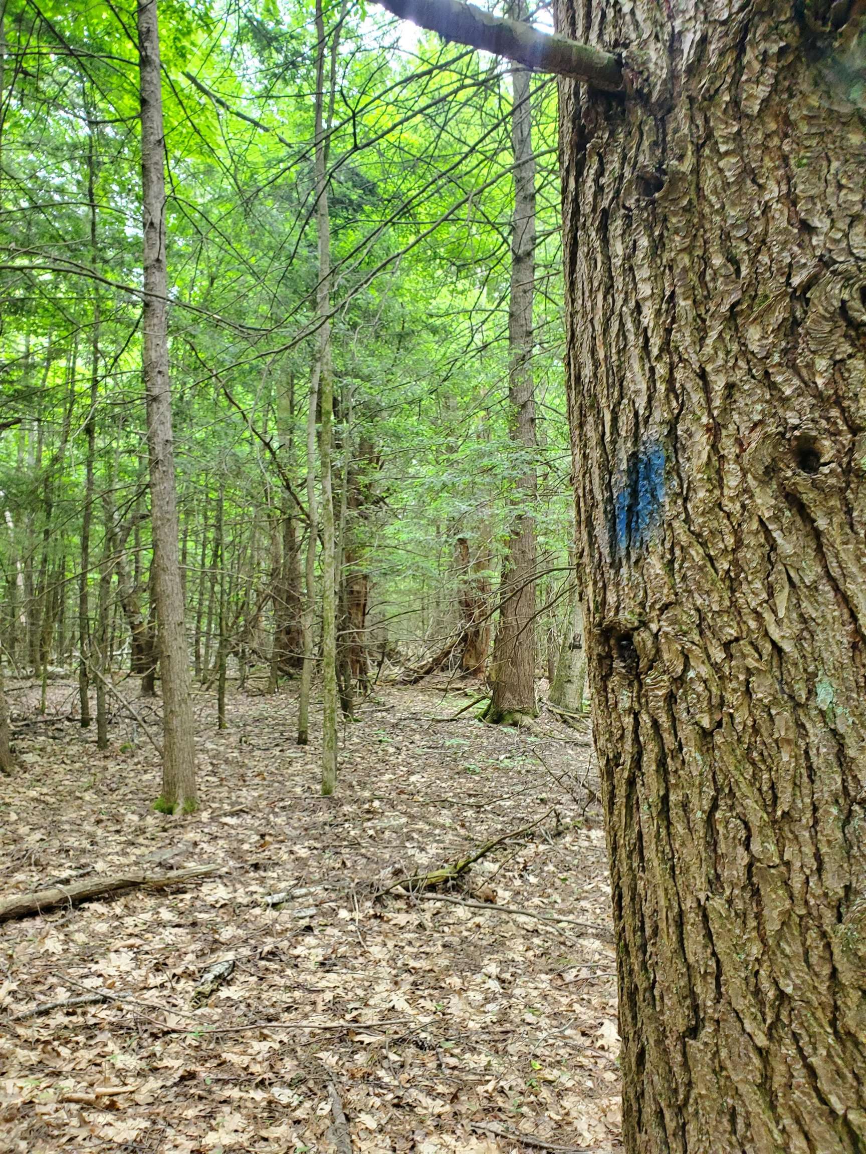 Homes for sale in Swanzey, NH | 00 Monadnock Hwy, Swanzey, NH 03446 | MLS# 4999338