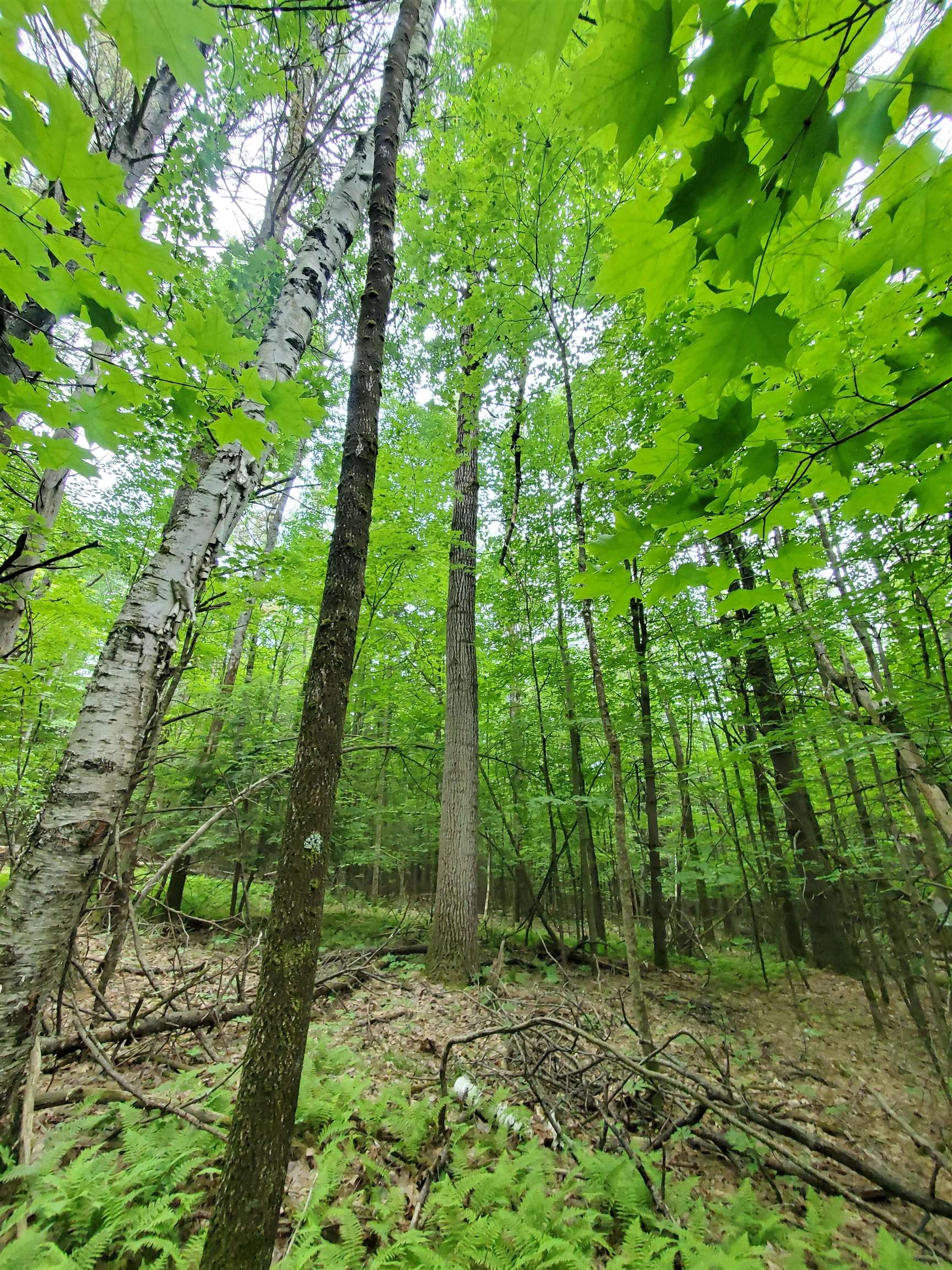 Homes for sale in Swanzey, NH | 00 Monadnock Hwy, Swanzey, NH 03446 | MLS# 4999338