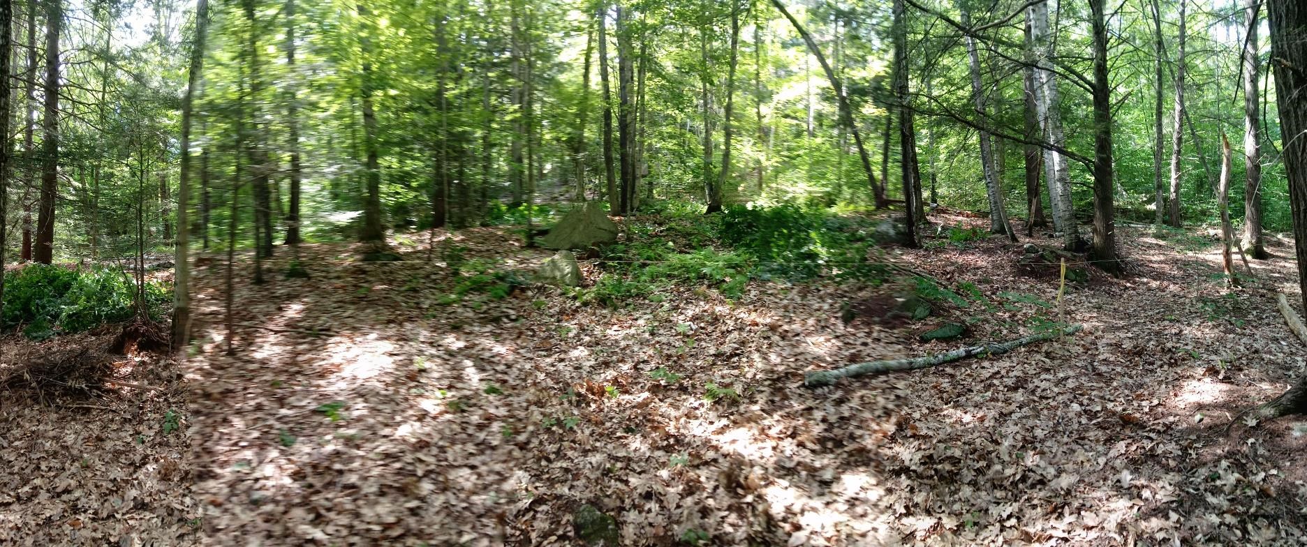 NEWBURY NH LAND  for sale $$84,900 | 4.94 Acres  | Price Per Acre $0  | Total Lots 2