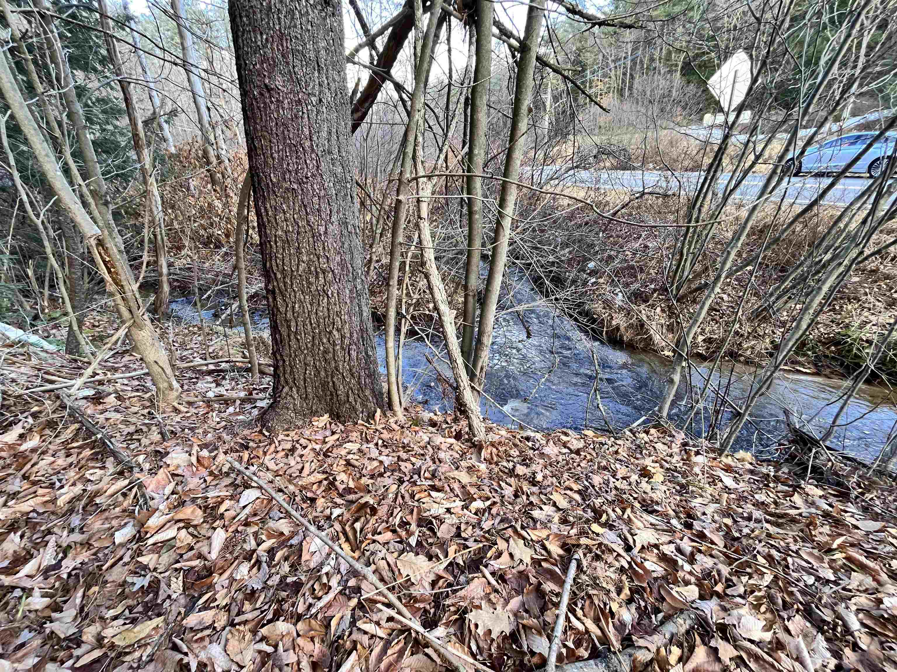 Homes for sale in Sutton, NH | 000 Route 114, Sutton, NH 03221 | MLS# 5001737