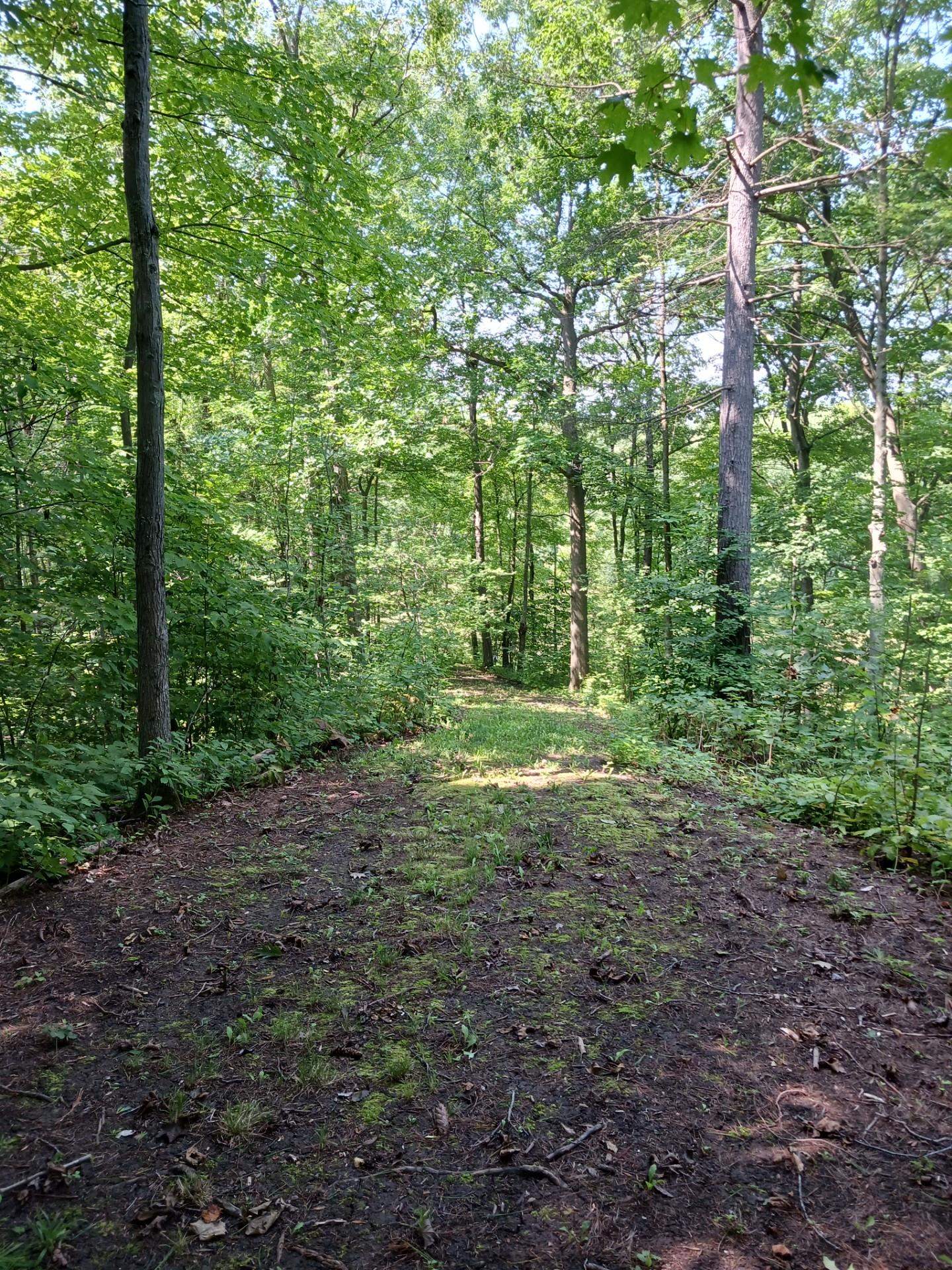 Homes for sale in Panton, VT | 644 Panton Rd, Panton, VT 05491 | MLS# 5001910