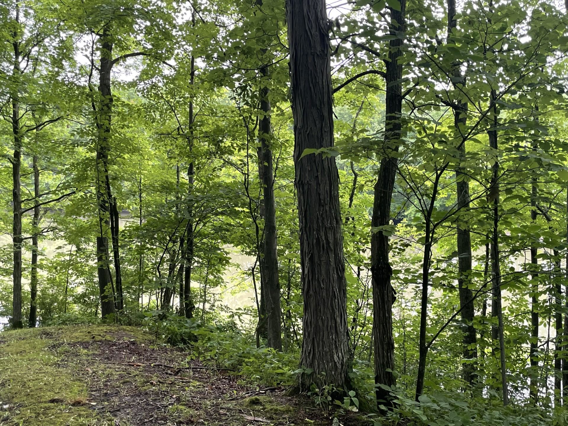 Homes for sale in Panton, VT | 644 Panton Rd, Panton, VT 05491 | MLS# 5001910