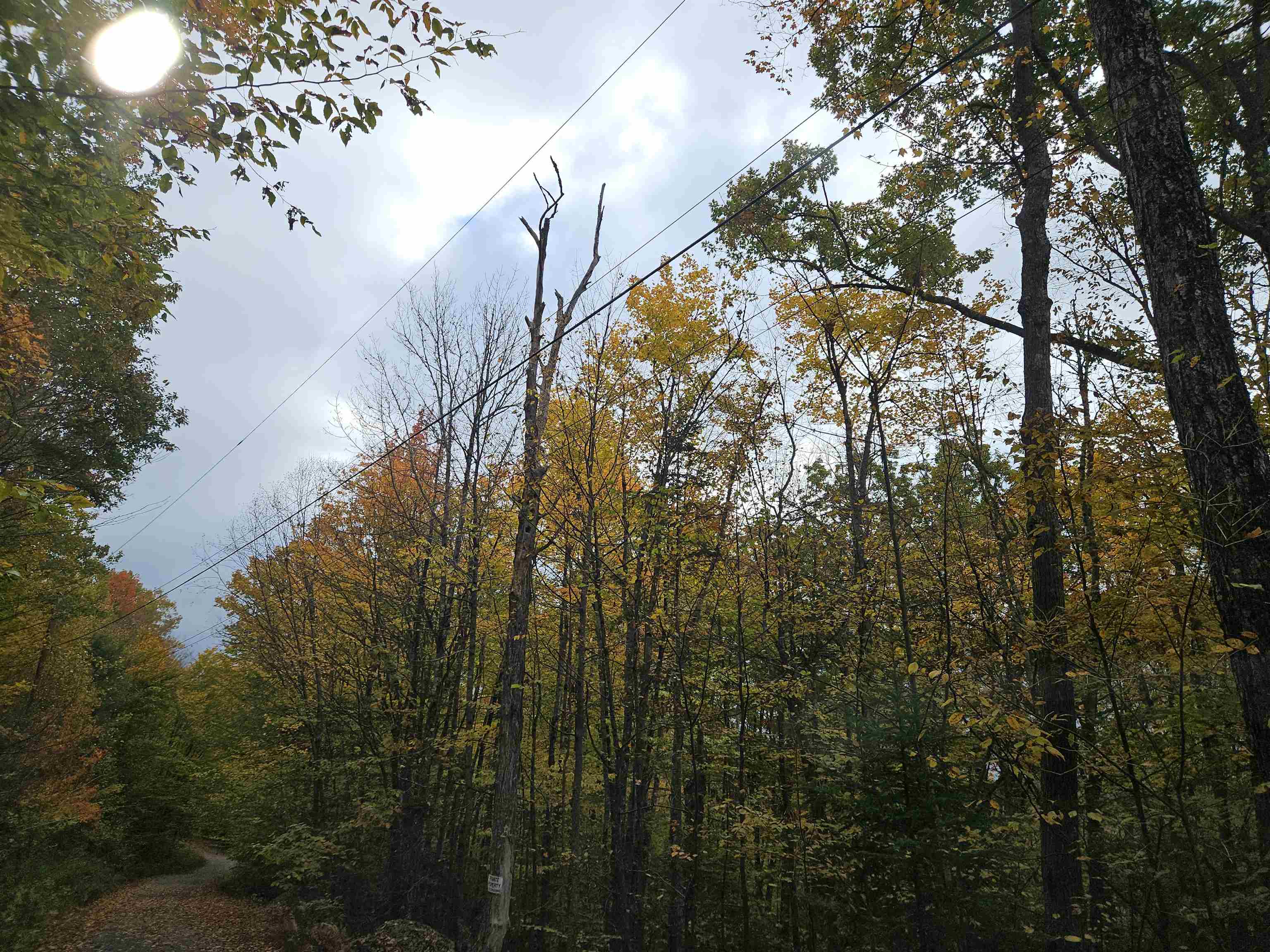 Sugar Hill NH Land for sale $$129,900 | 5.11 Acres  | Price Per Acre $0 