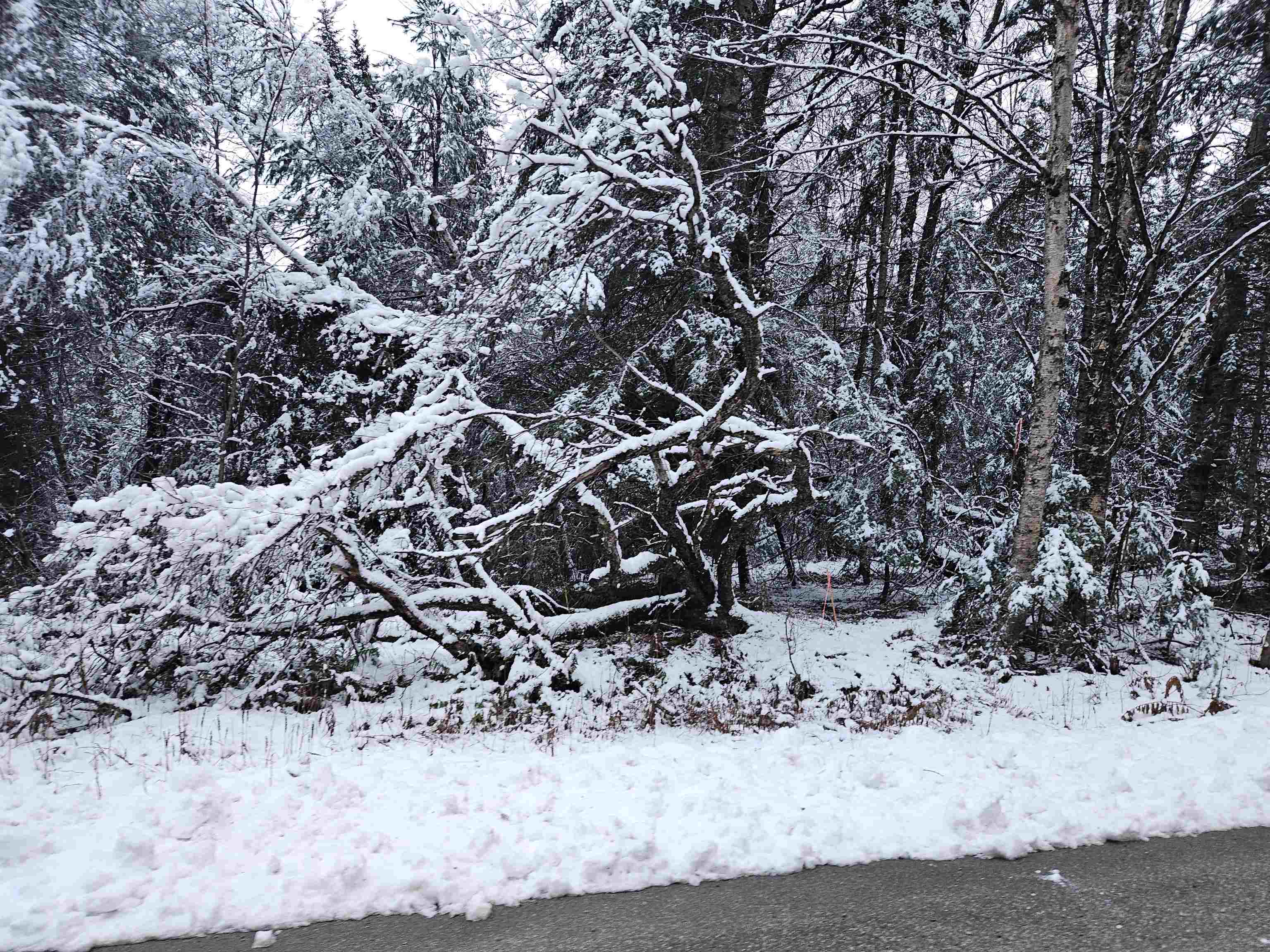 Homes for sale in Sugar Hill, NH | Lot 15 Hadley Rd, Sugar Hill, NH 03586 | MLS# 5001915