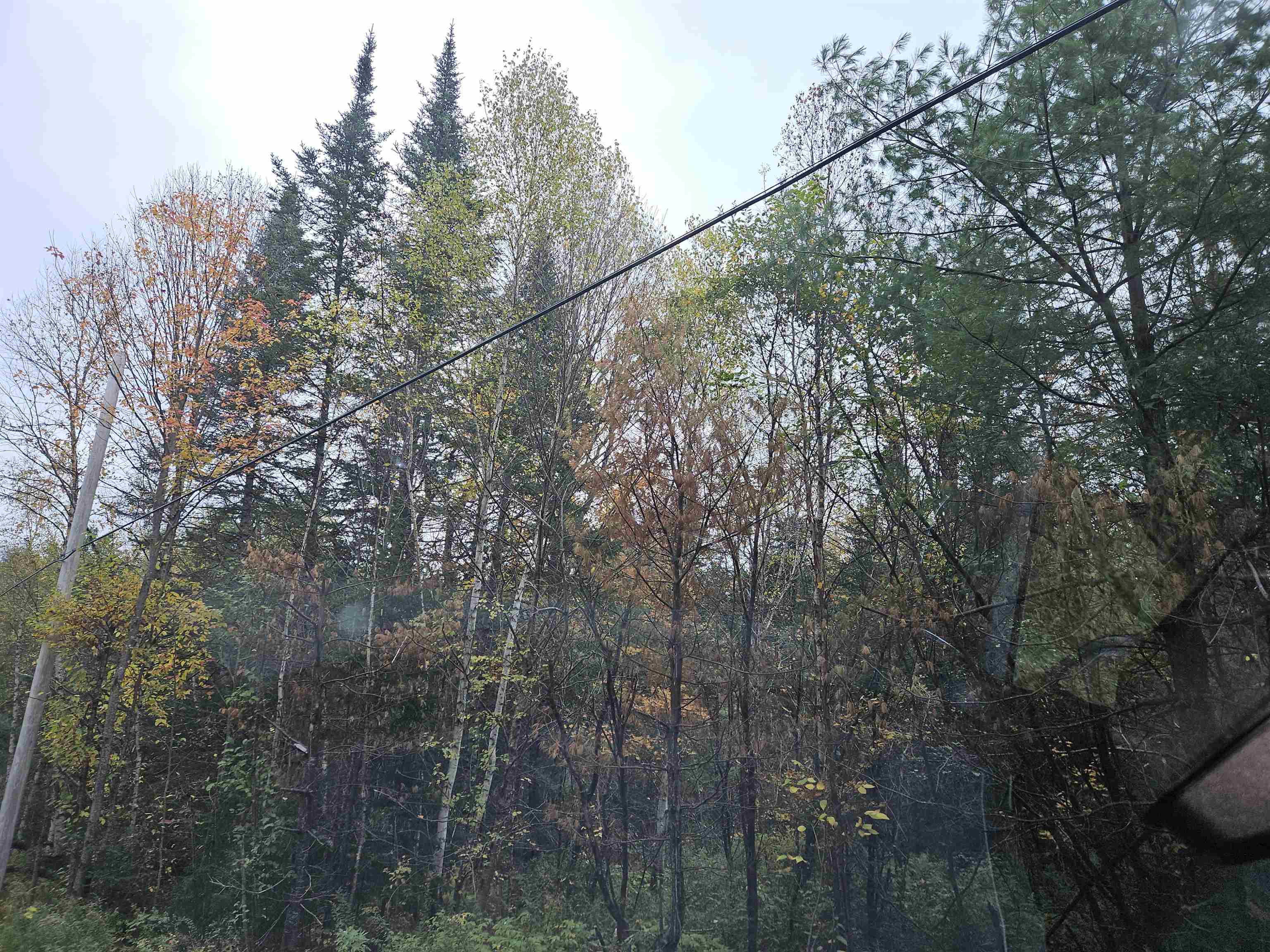 Homes for sale in Sugar Hill, NH | Lot 15 Hadley Rd, Sugar Hill, NH 03586 | MLS# 5001915