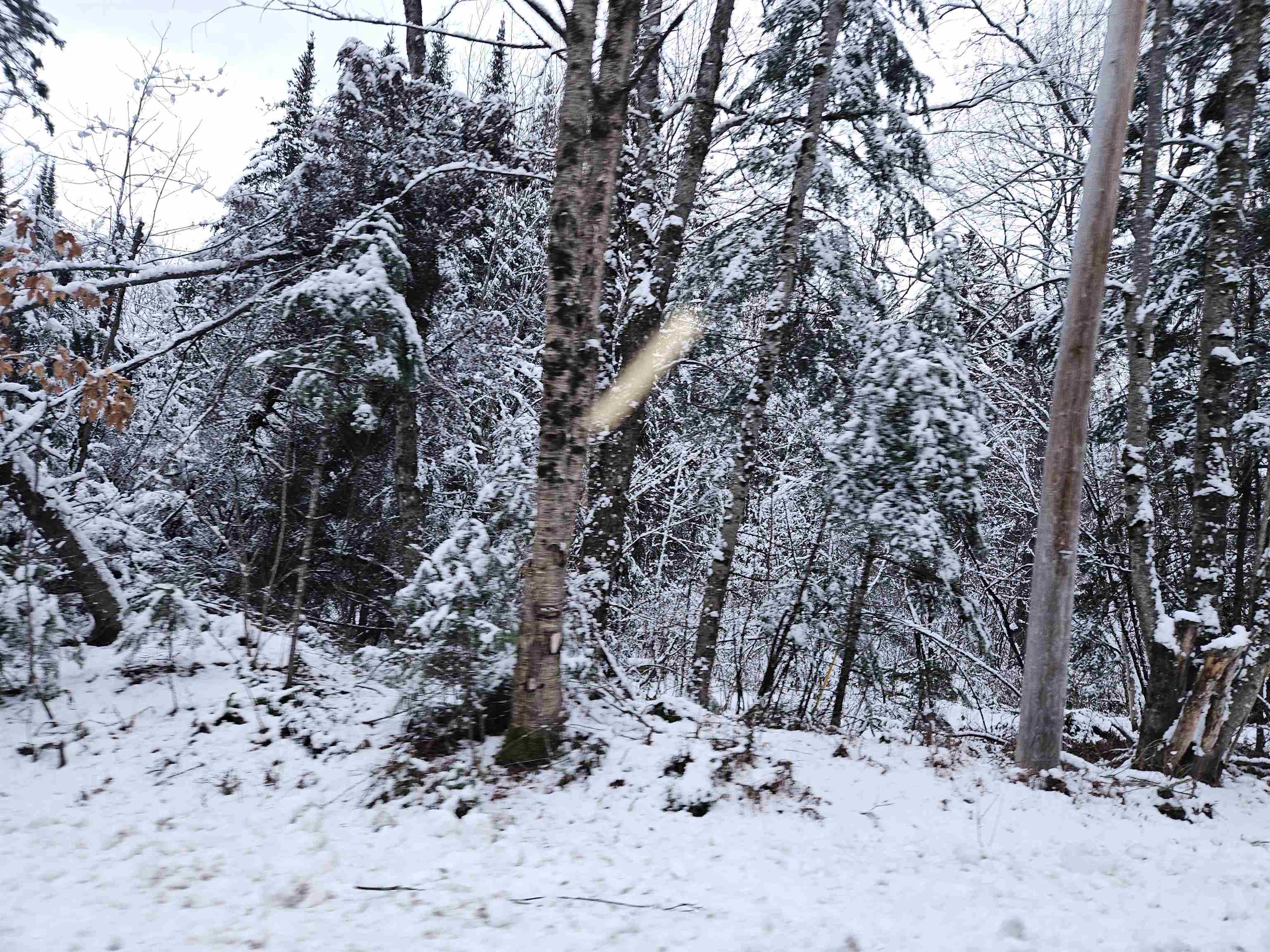 Homes for sale in Sugar Hill, NH | Lot 15 Hadley Rd, Sugar Hill, NH 03586 | MLS# 5001915